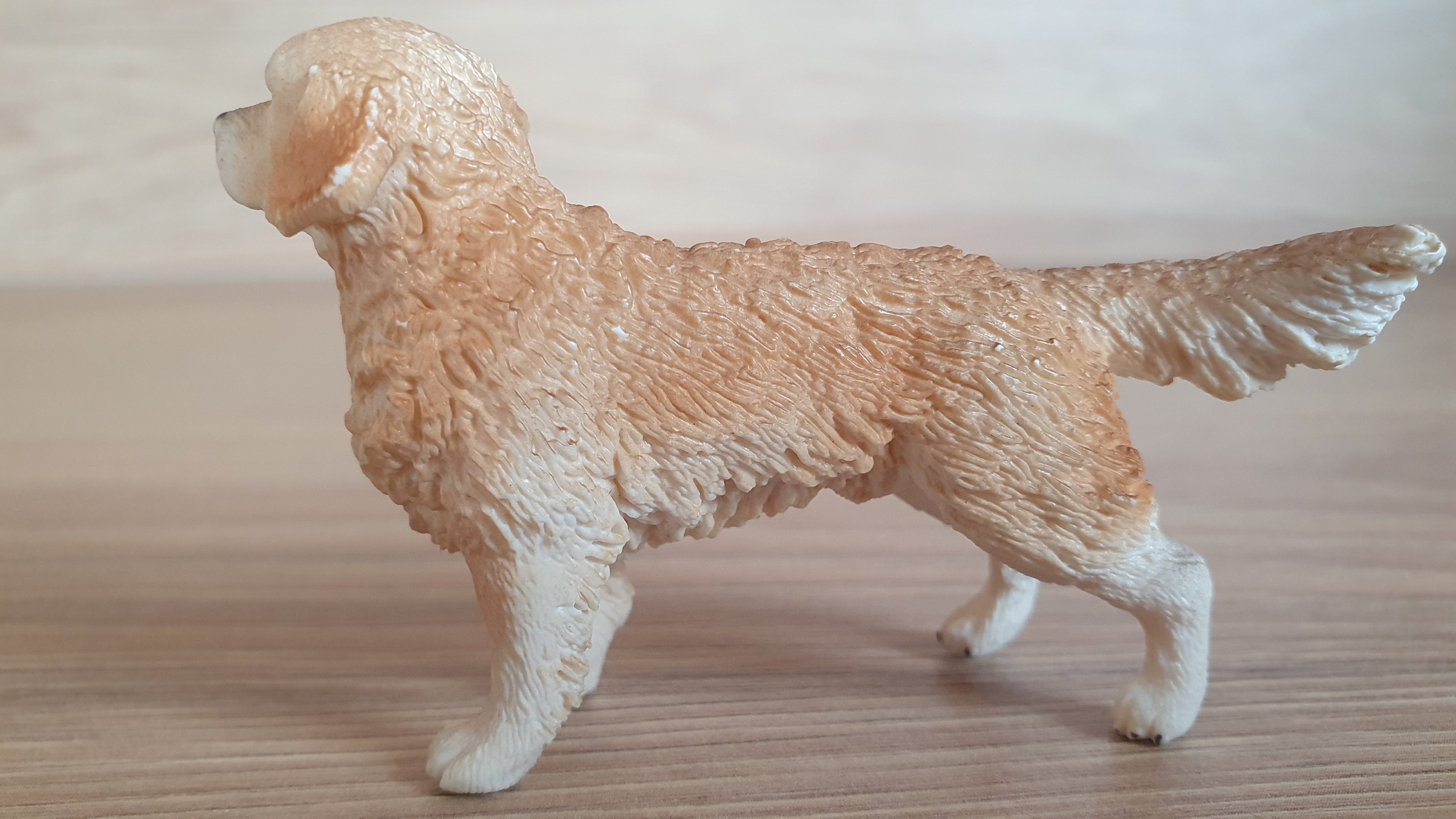 zlatý retrívr 16394, model 2013