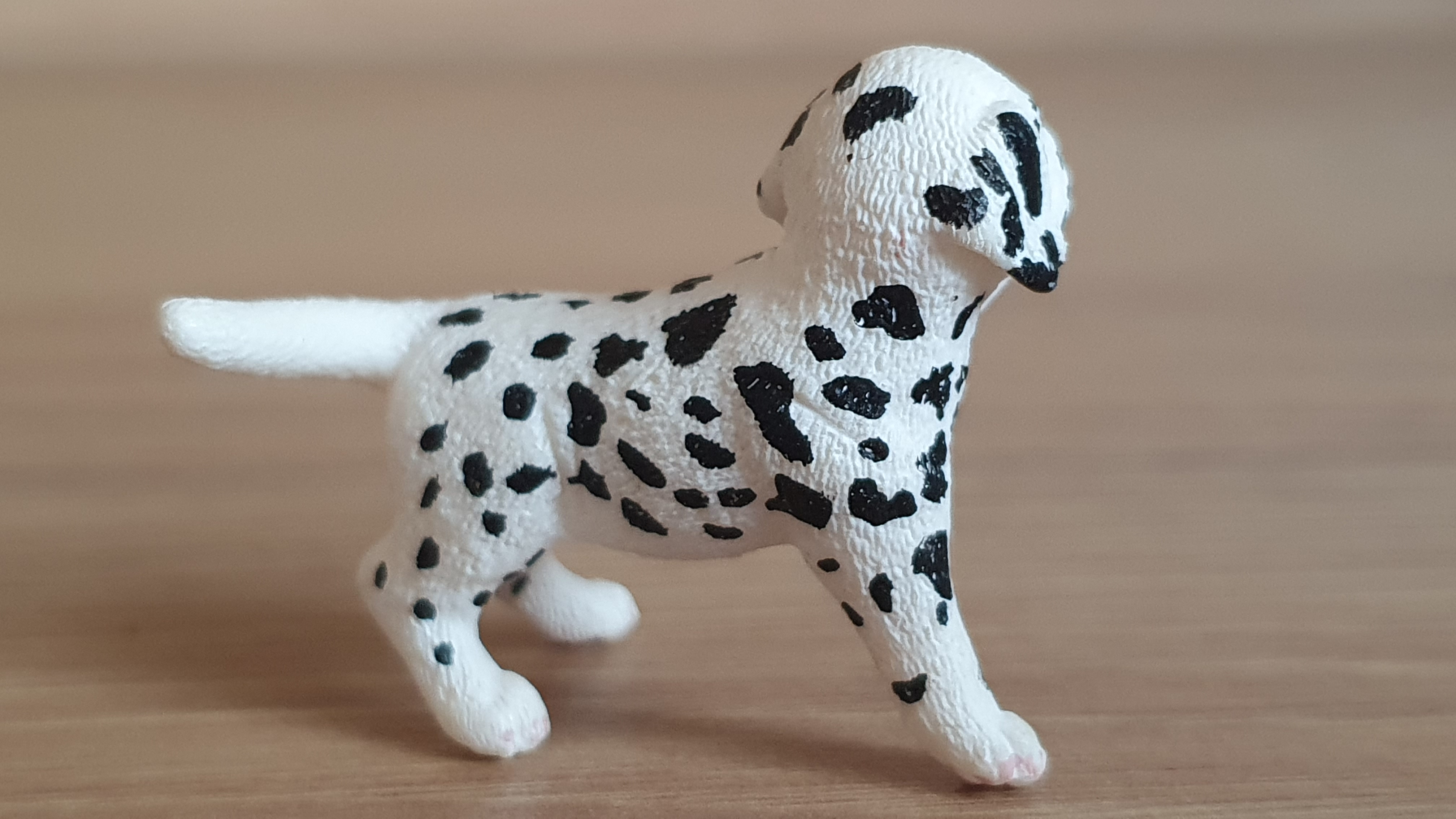 Dalmatin štěně 16839, model 2015
