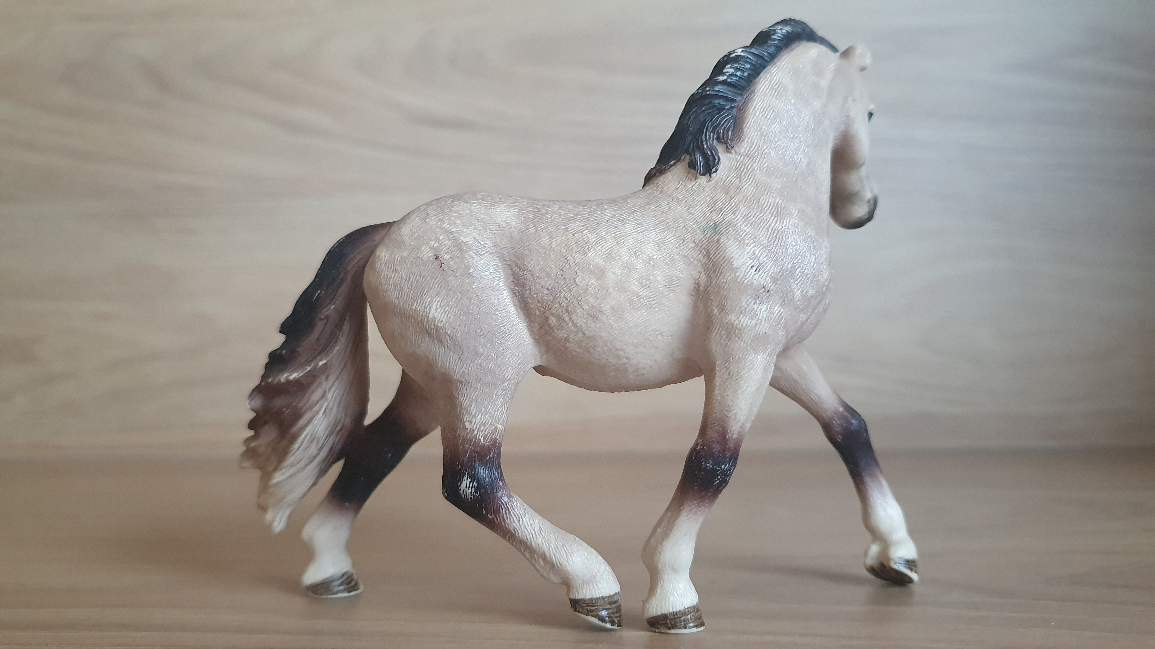 Andaluská klisna  13793, model 2014