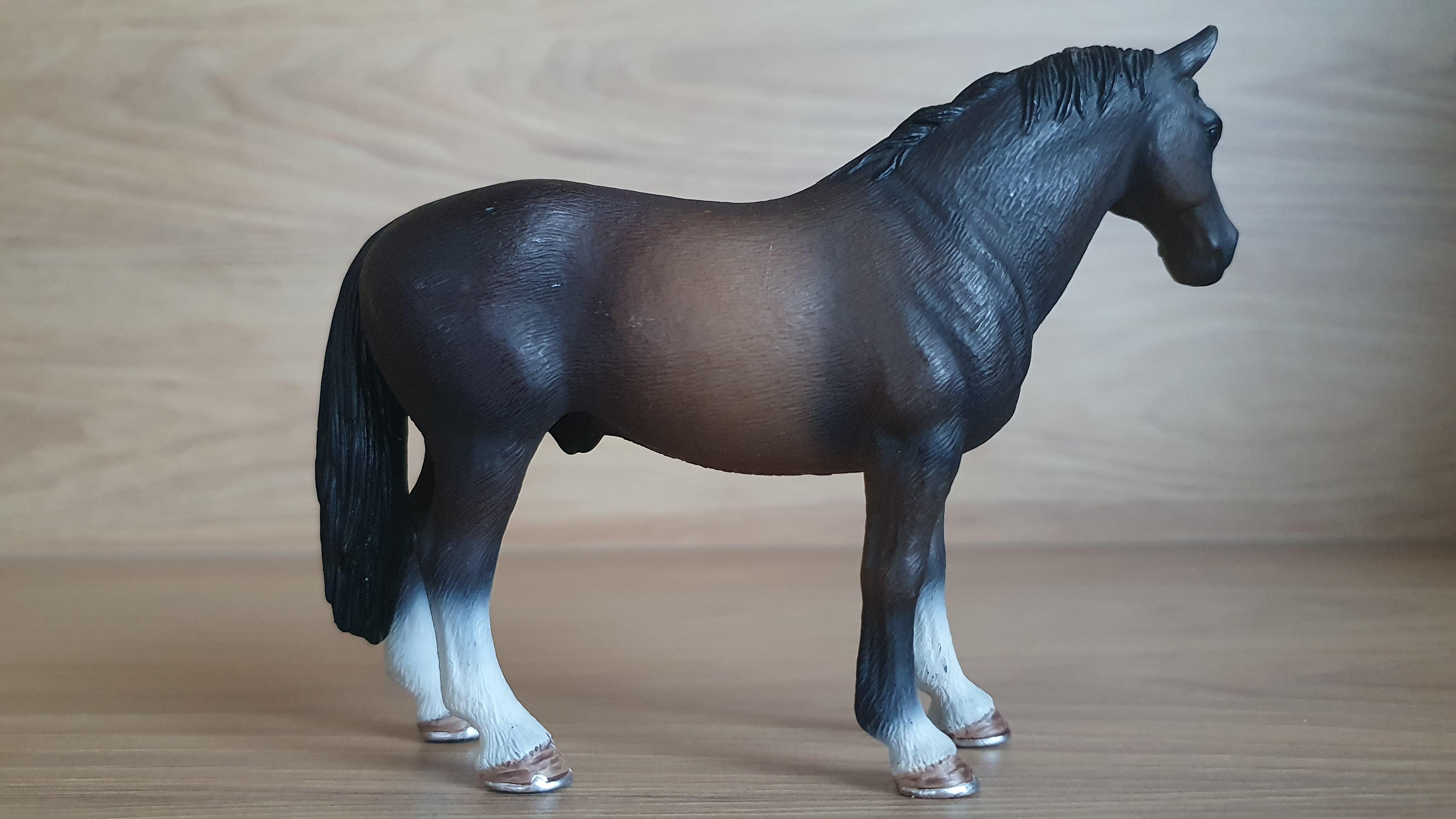 Hanoverskáý hřebec 13649, model 2008