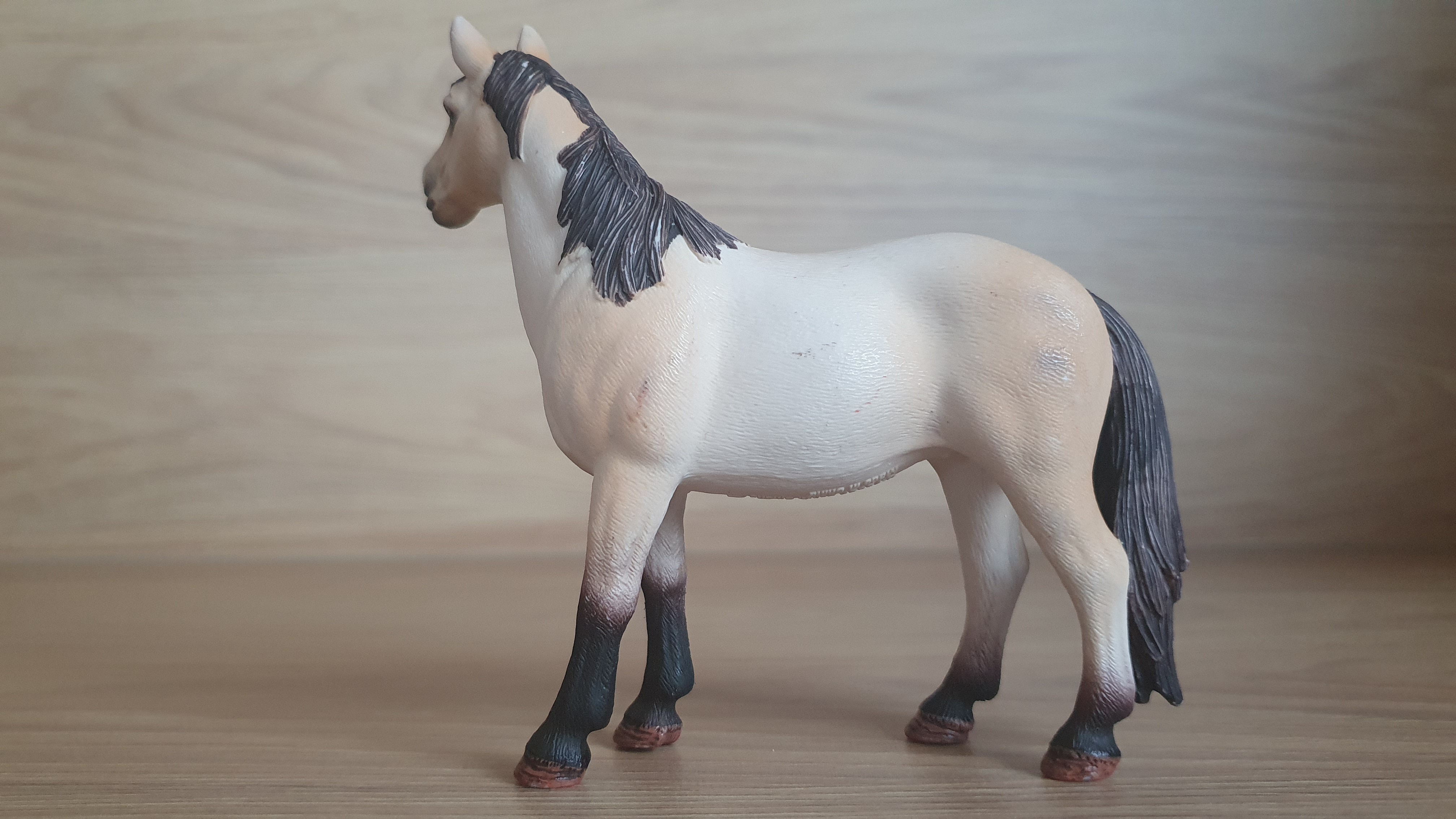 Klisna Mustanga 13806, model 2015