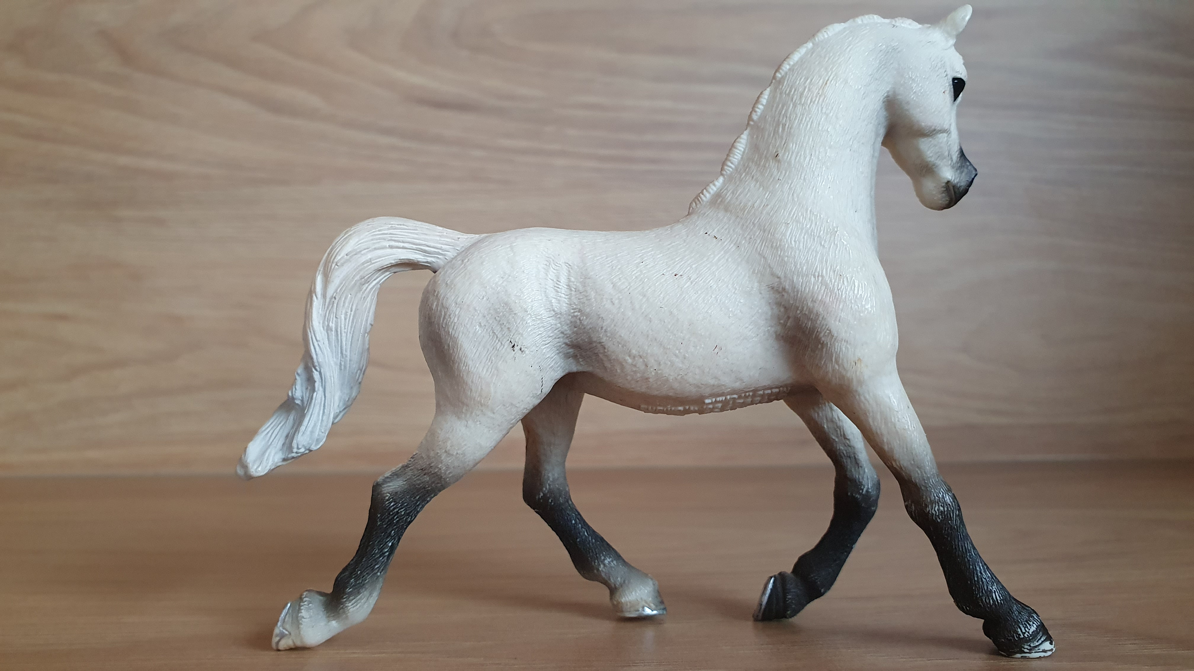 Bílá arabská klisna 13761, model 2013