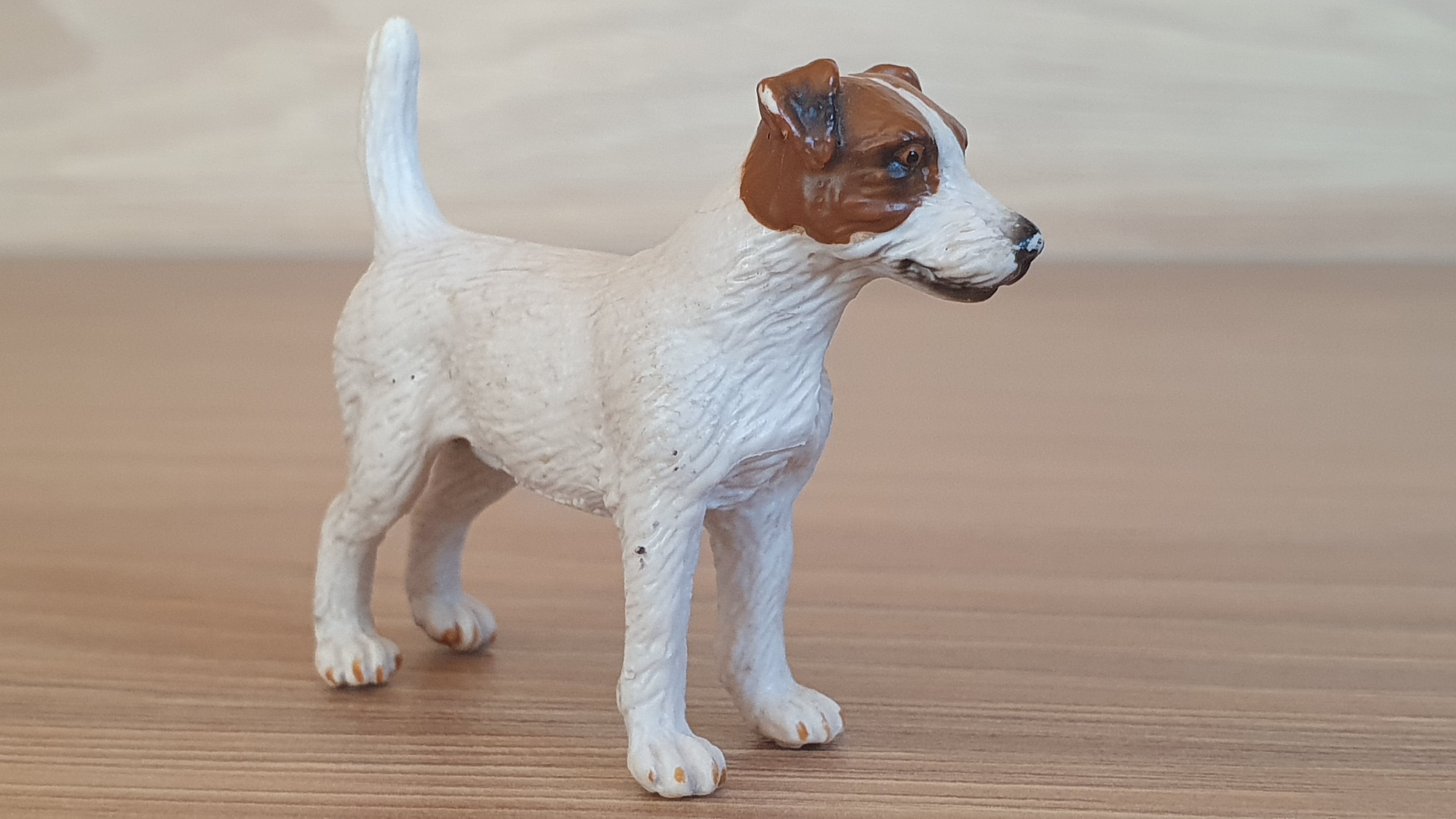 jack russel teriér 16331, model 2002