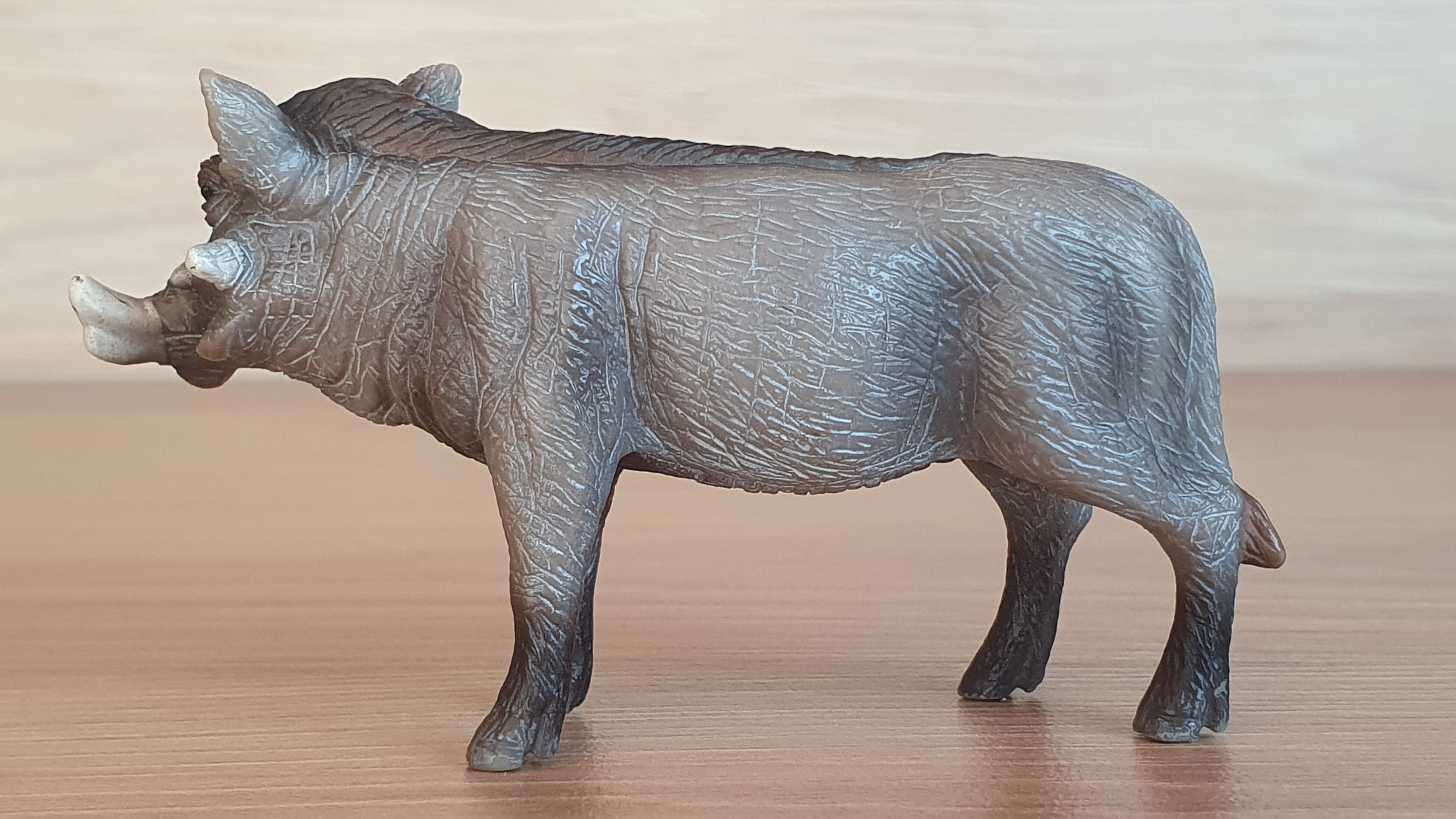 prase bradavičnaté  14611, model 2009