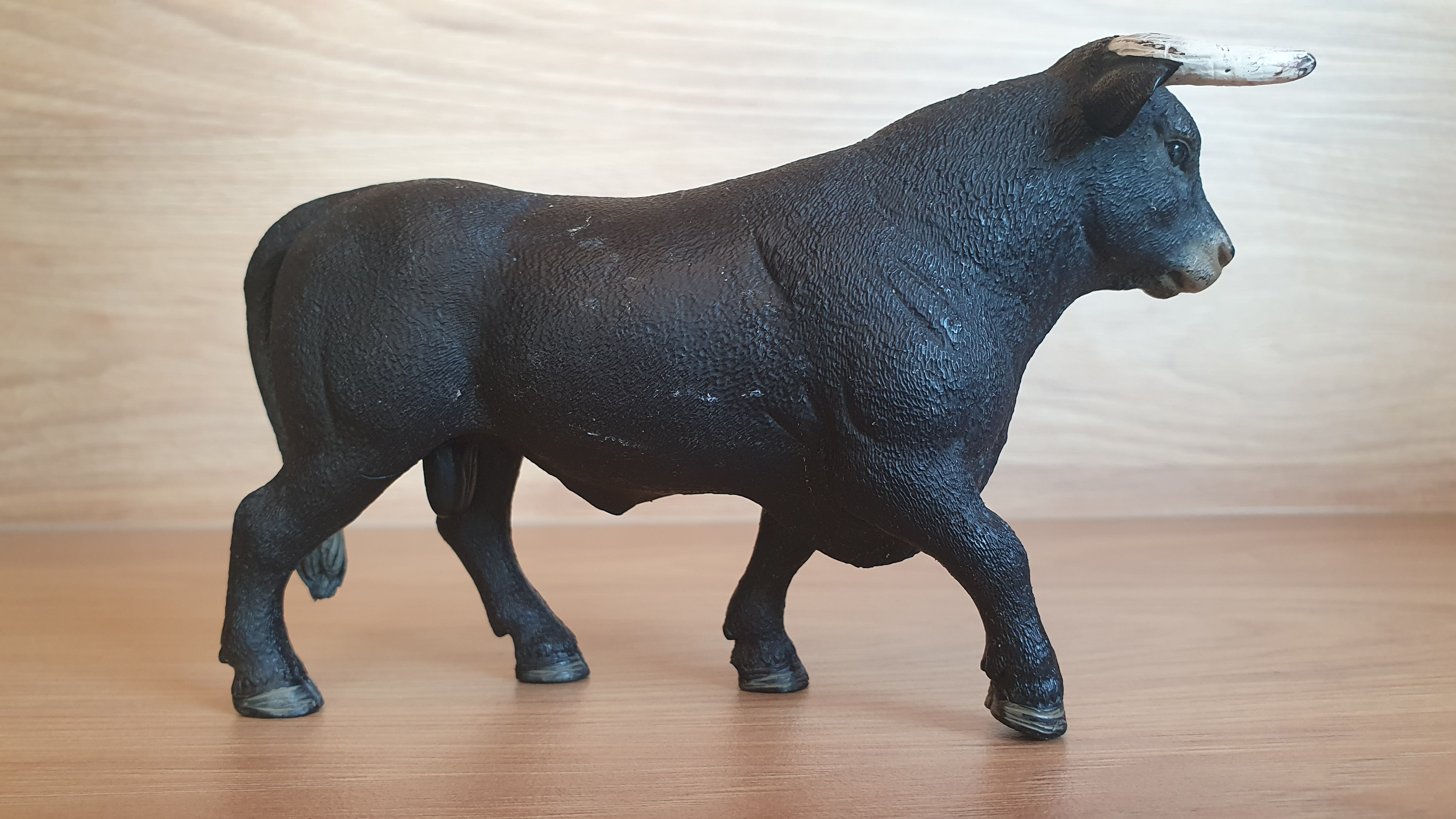 Černý býk  13875, model 2017