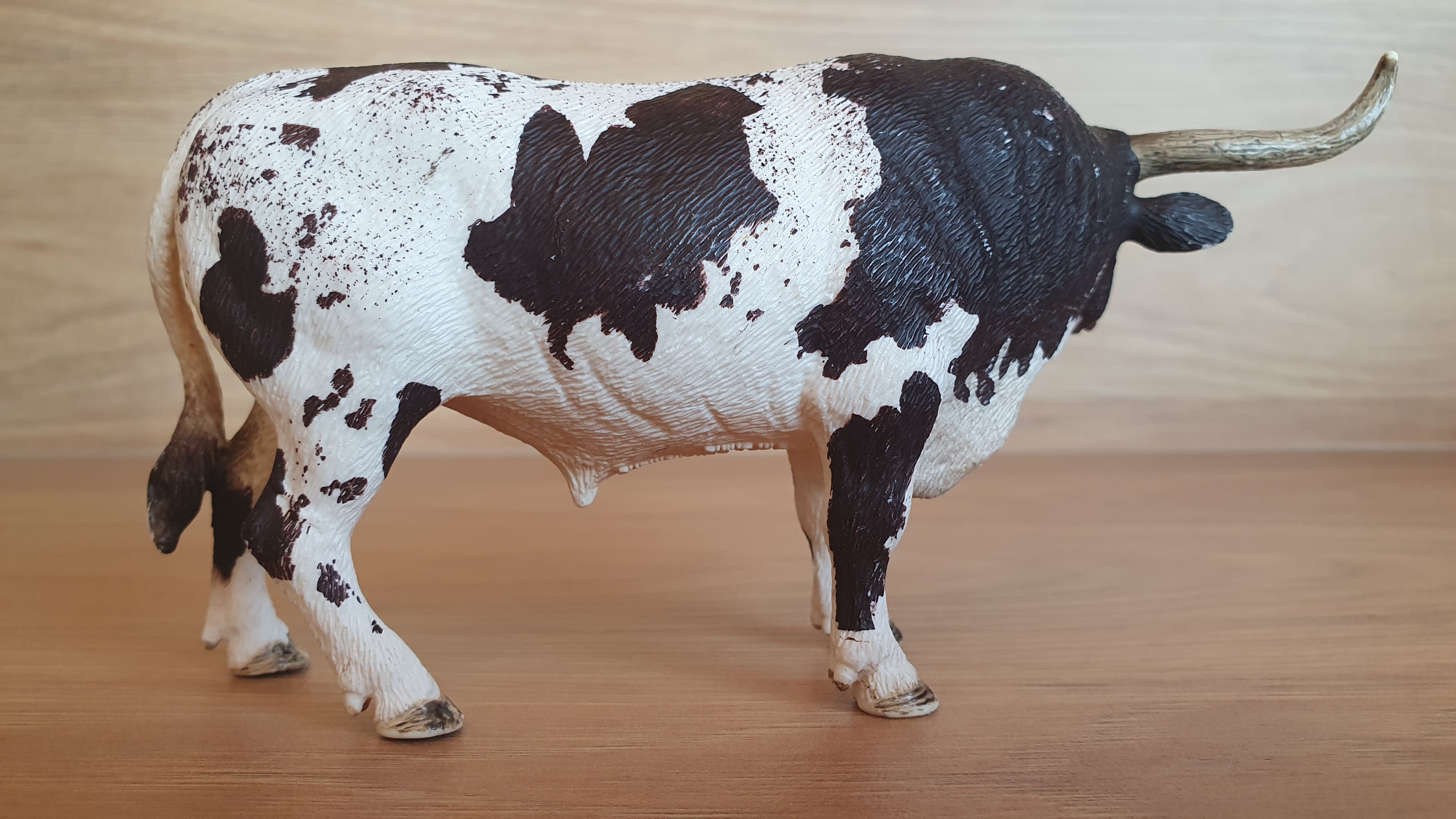 Býk longhornský Texaský 13721, model 2012