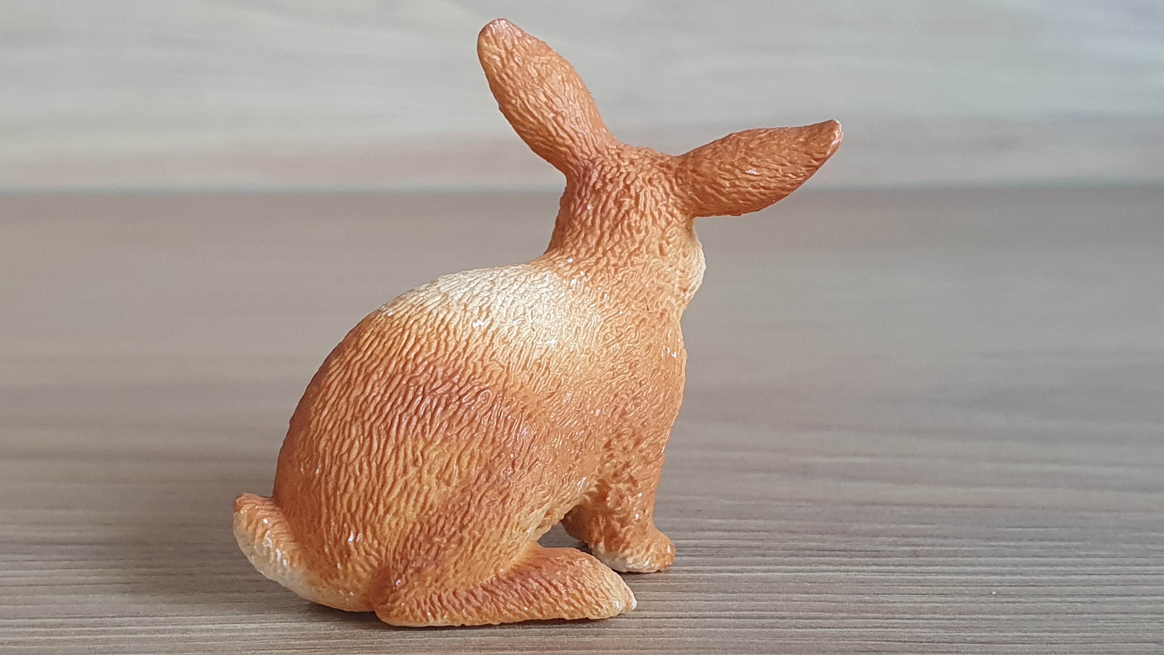 Králík fialovoušatý 72185