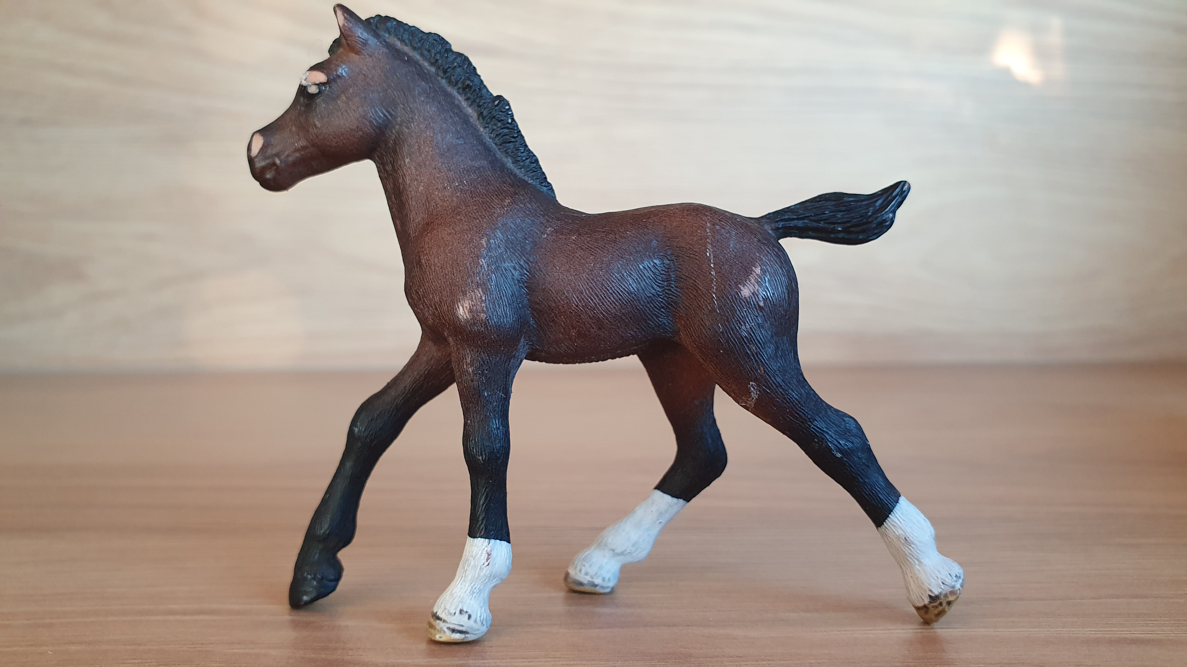 Arabské hříbě 13762, model 2013