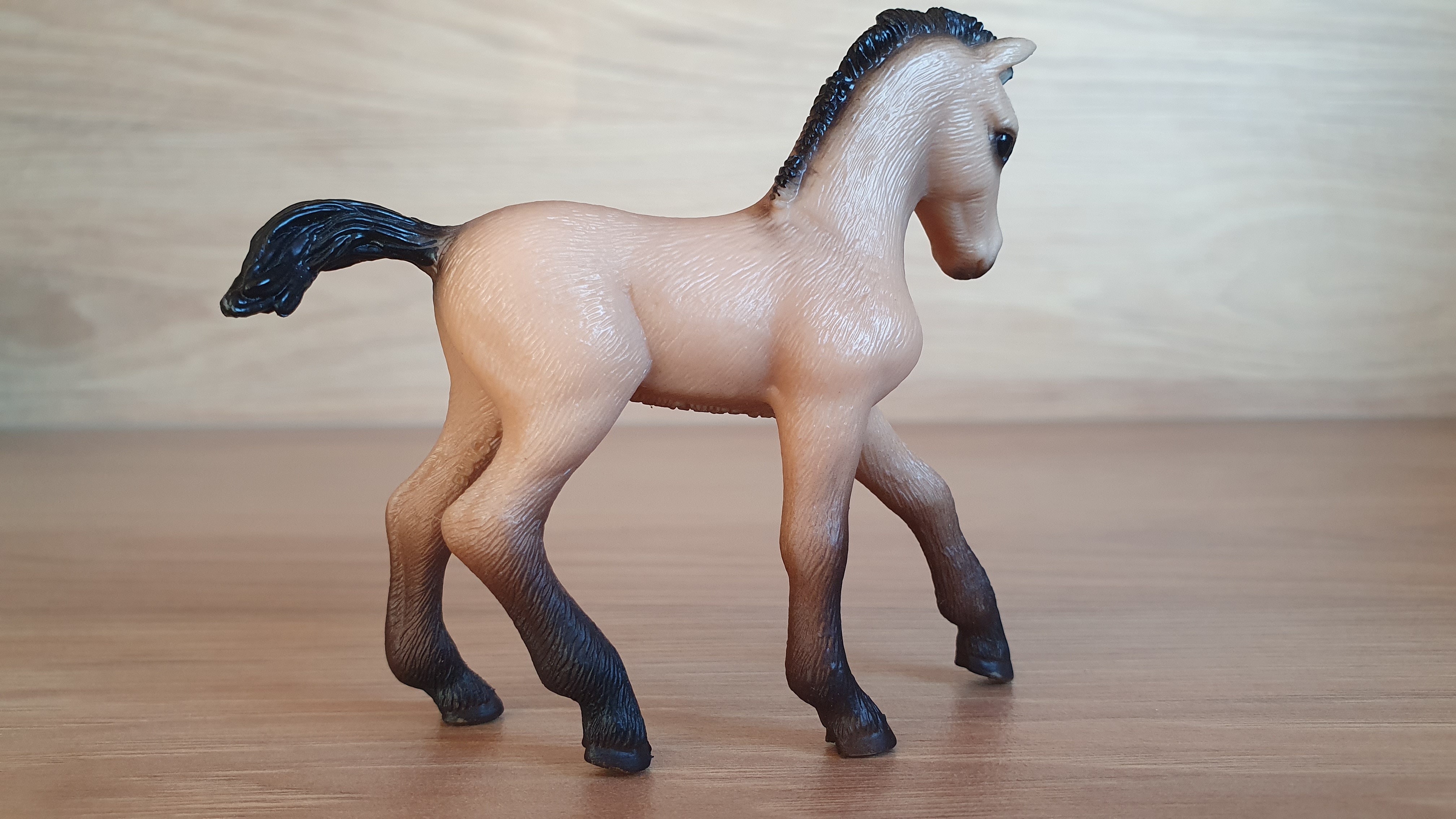 Andaluské hříbě 13669, model 2006