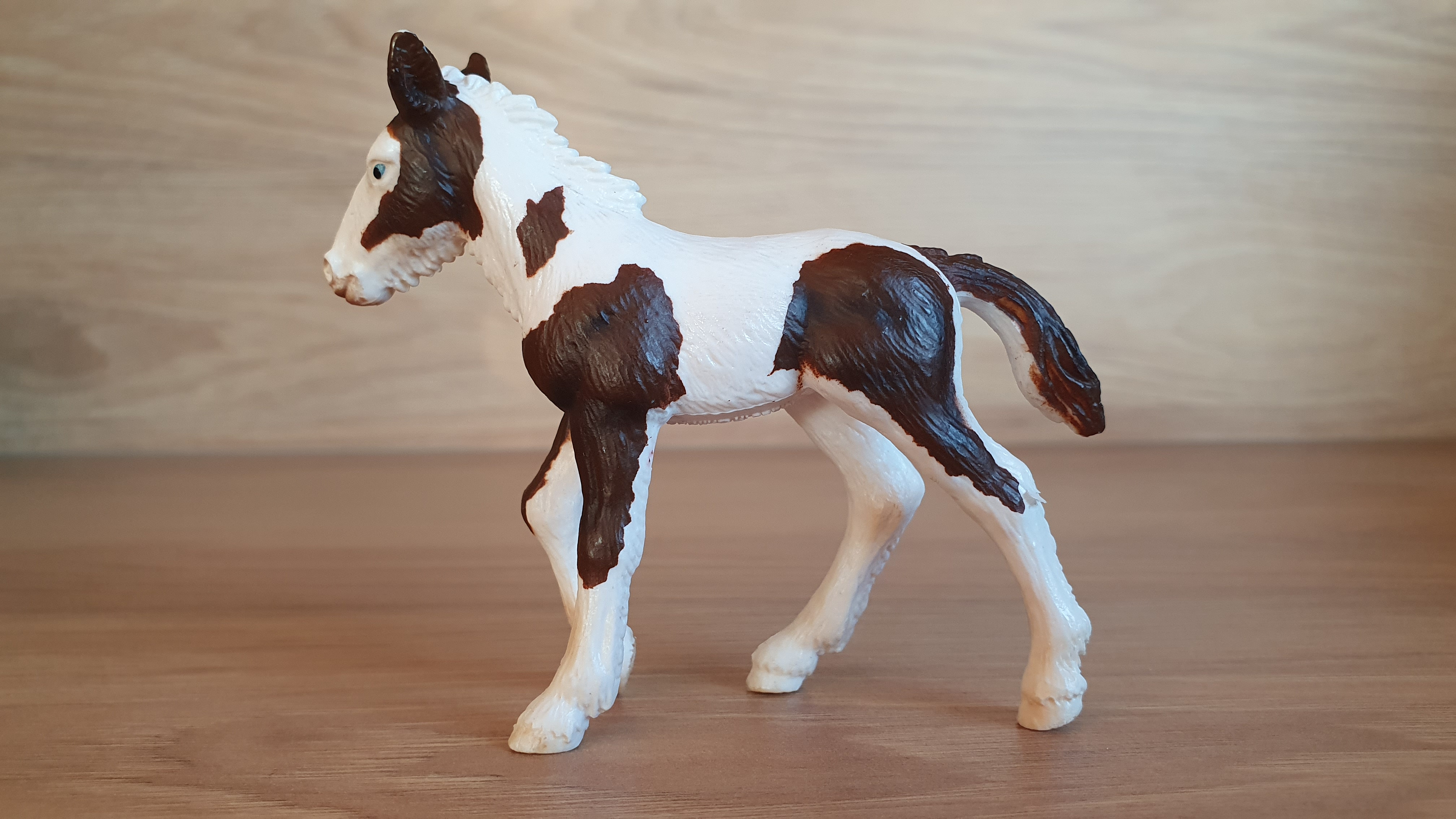 Irský Tinker hříbě   13295, model 2004