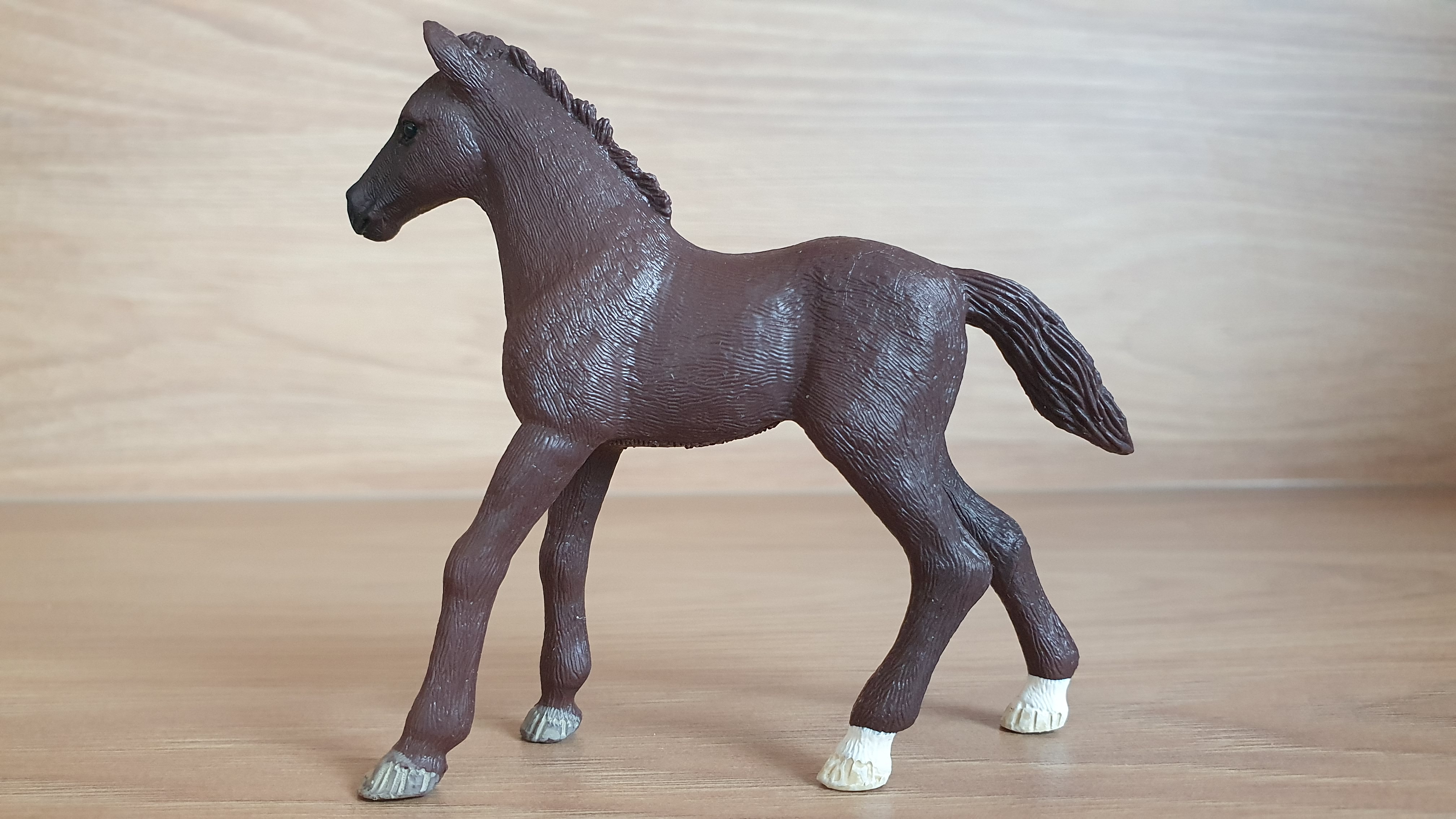 trakehnerské hříbě 83072, model 2017