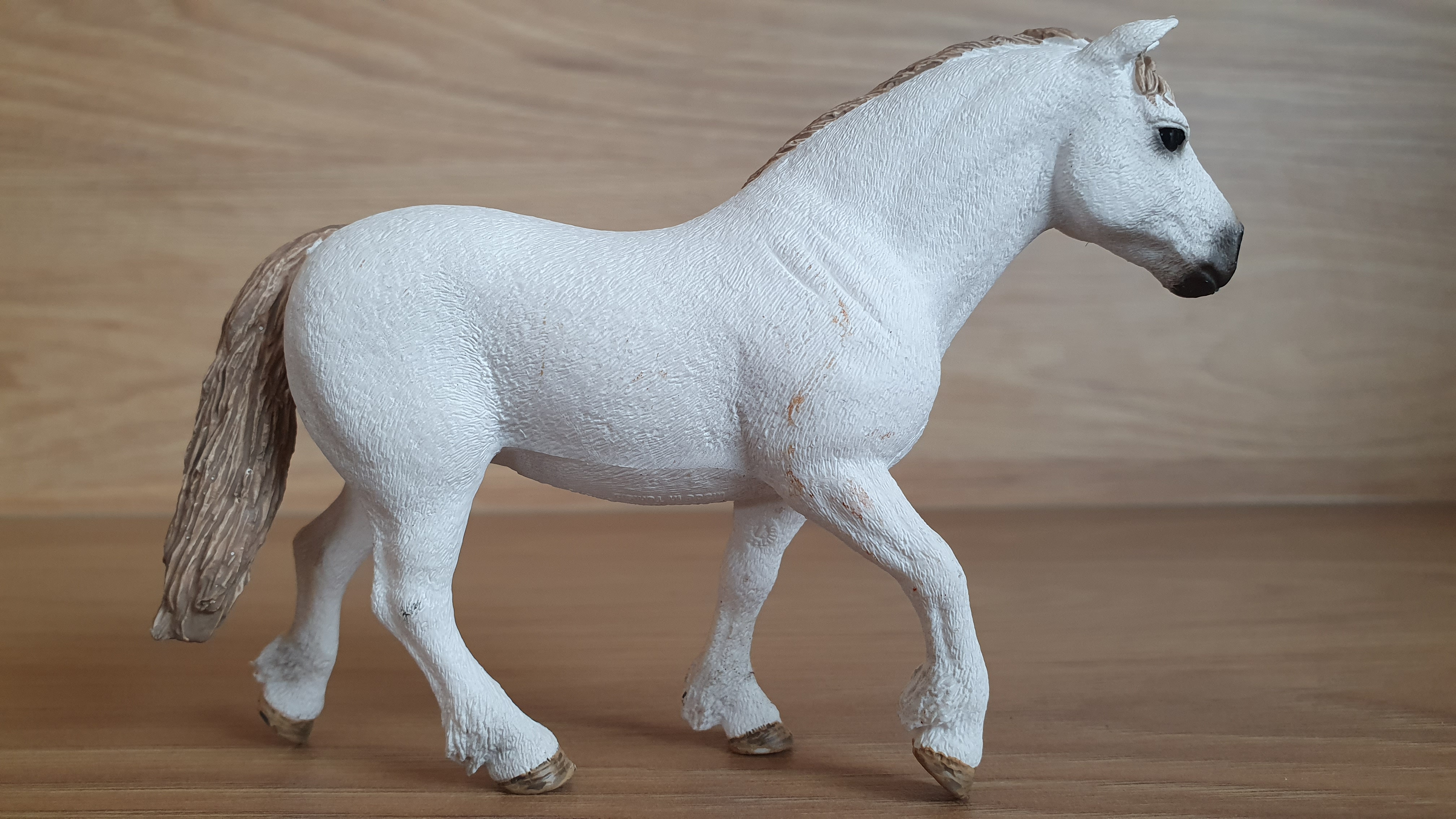 Poník Welsh  13872, model 2017