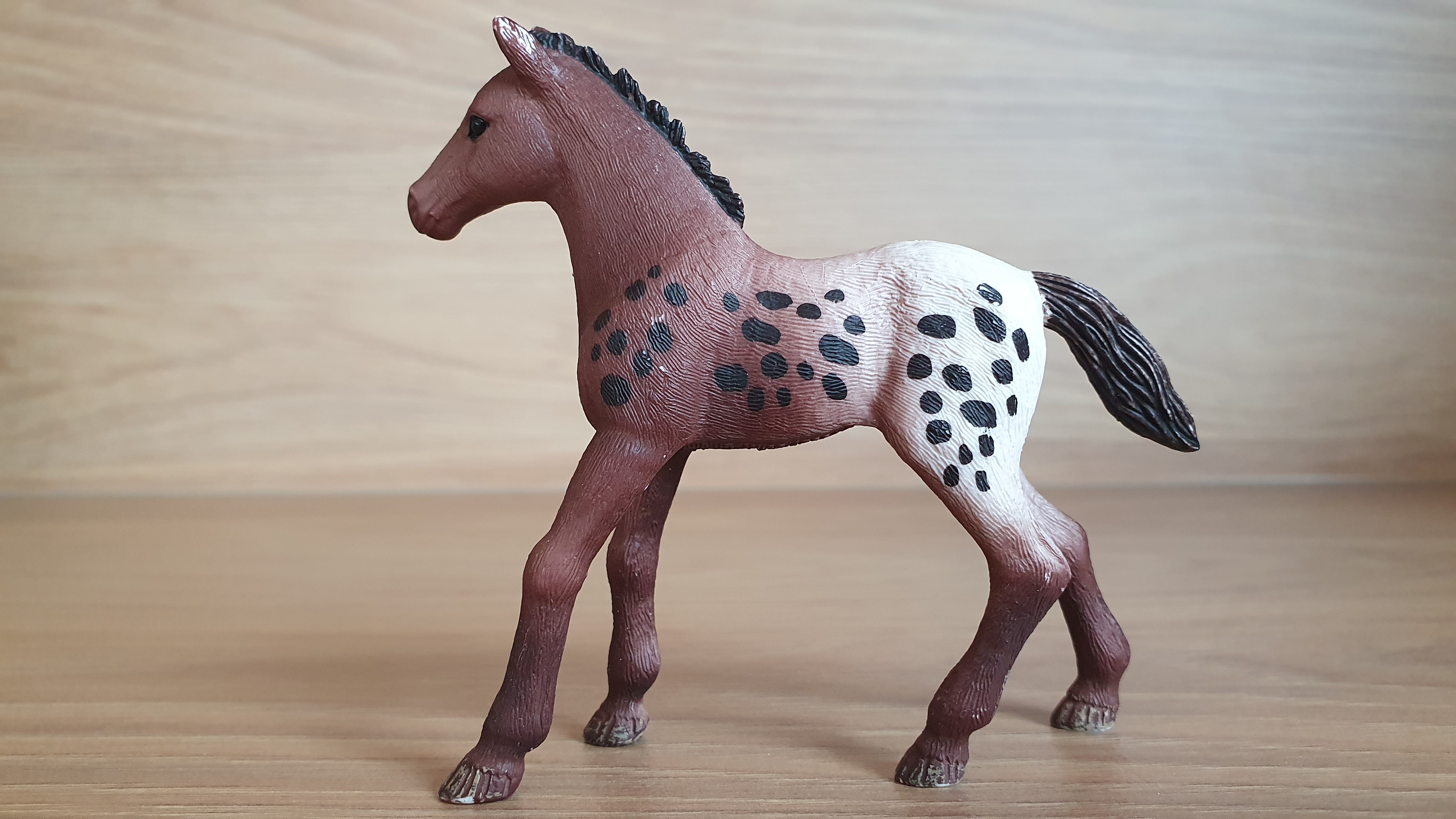 Appaloosa hříbě 13862, model 2017