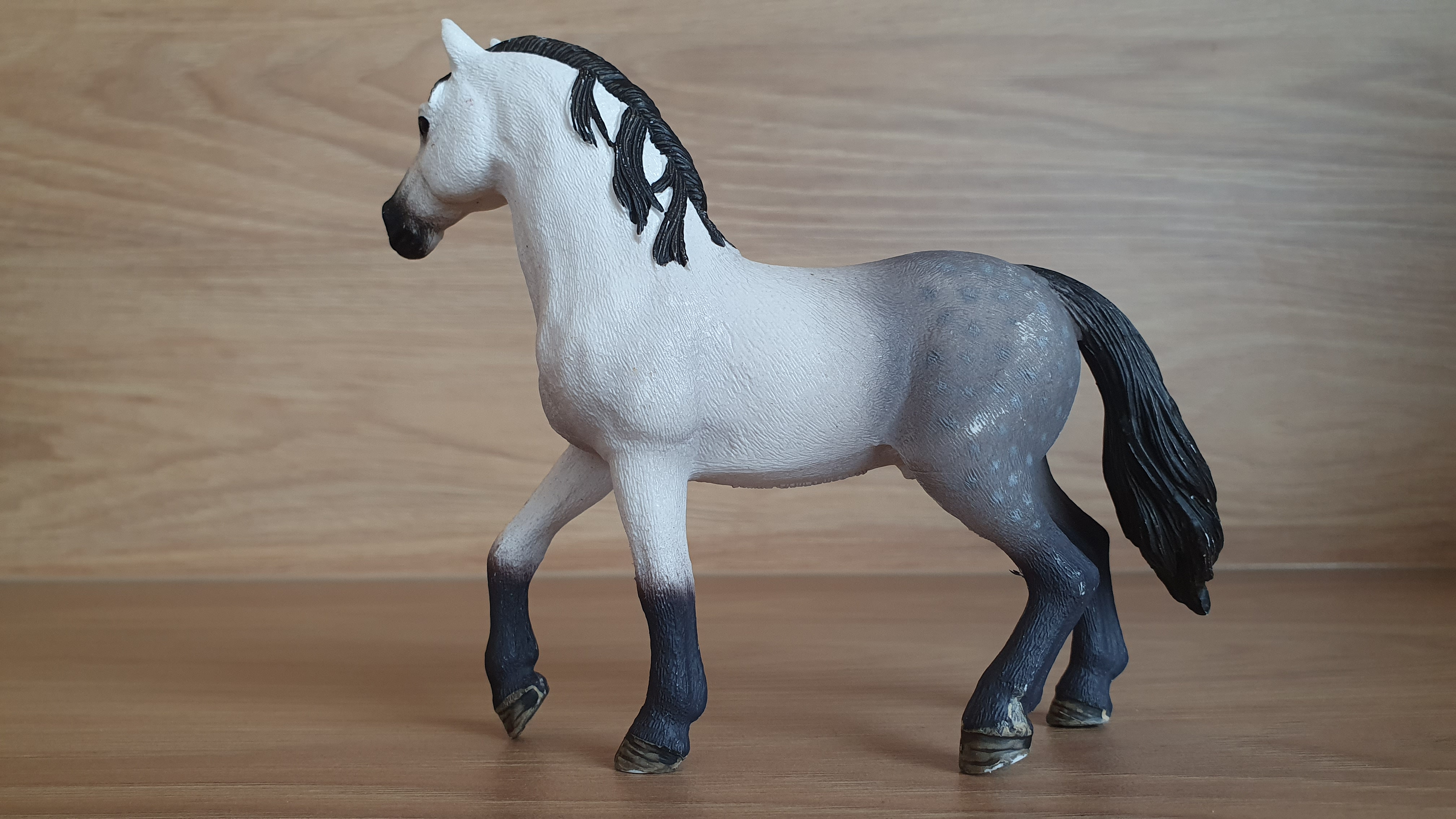 Andaluský hřebec 13821, model 2016