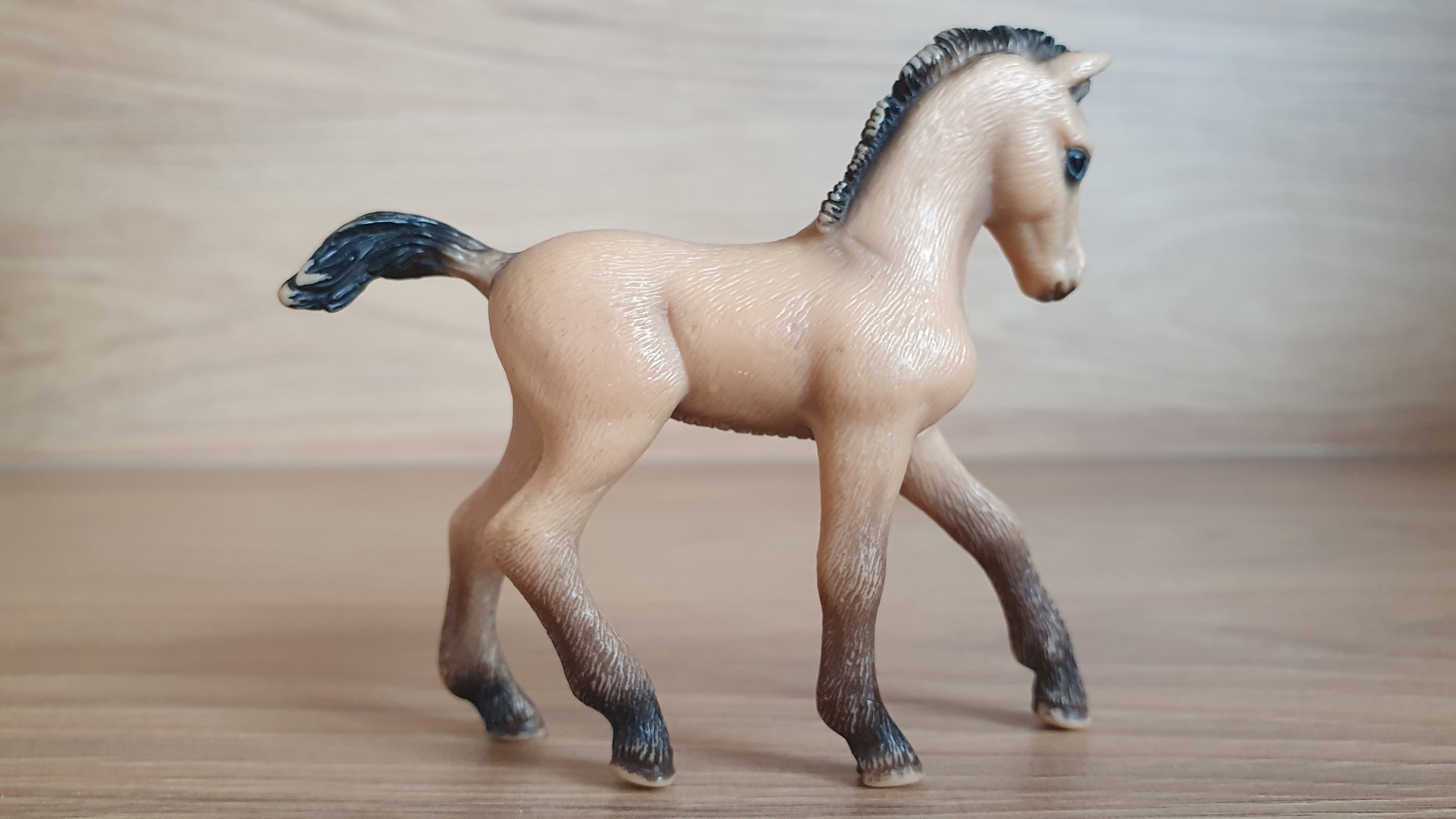 Andalůské hříbe  13669, model 2006