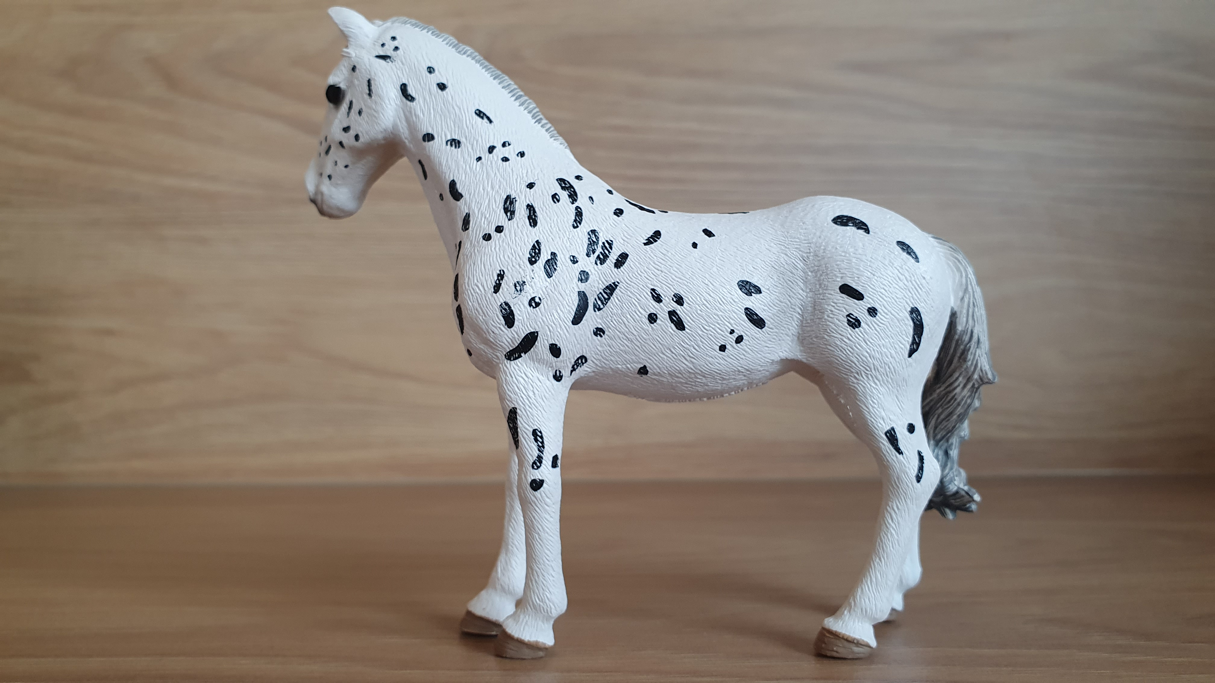 Knebstrupperská klisna 13910, model 2019