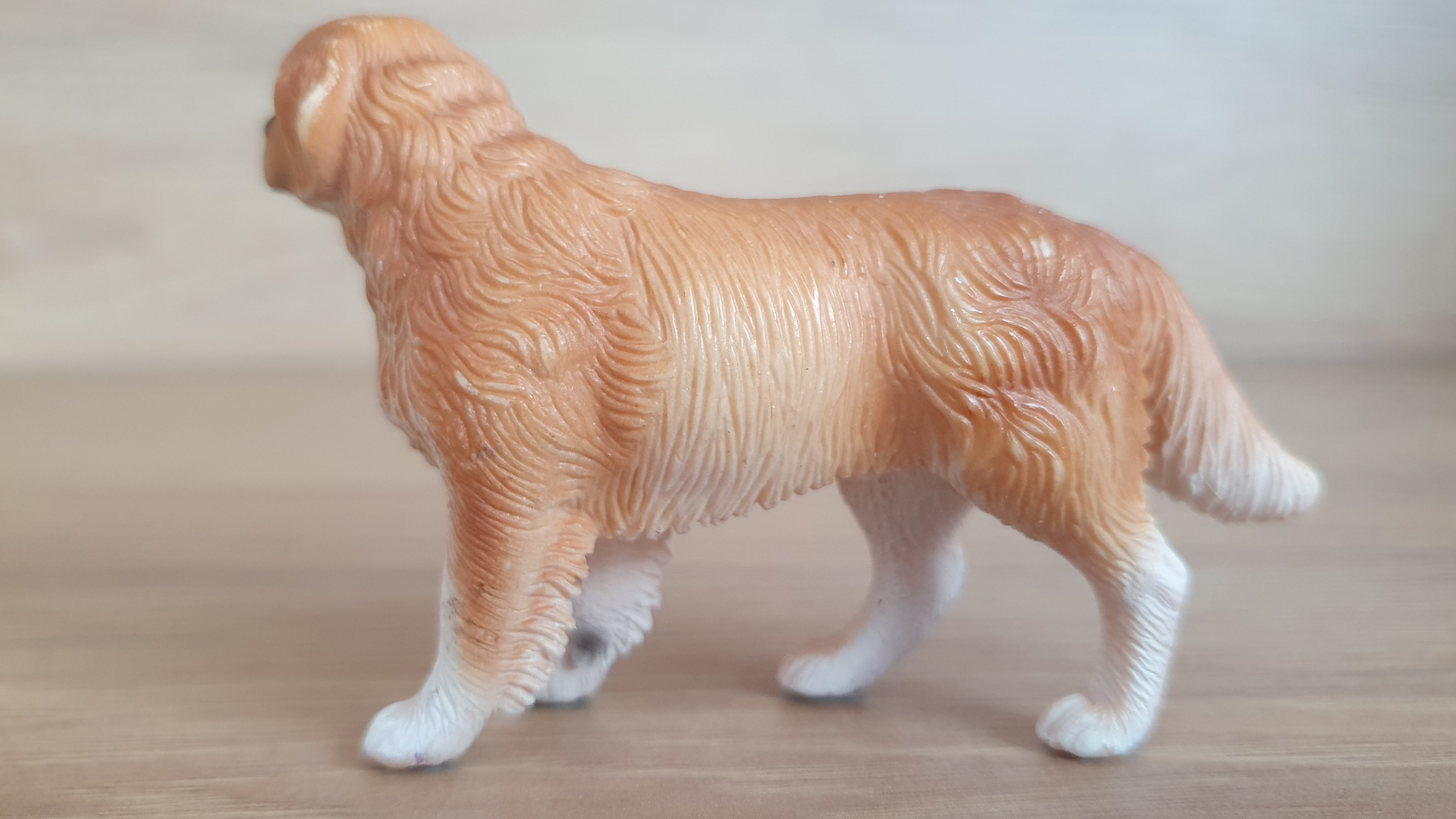 zlatý retrívr 16377, model 2008