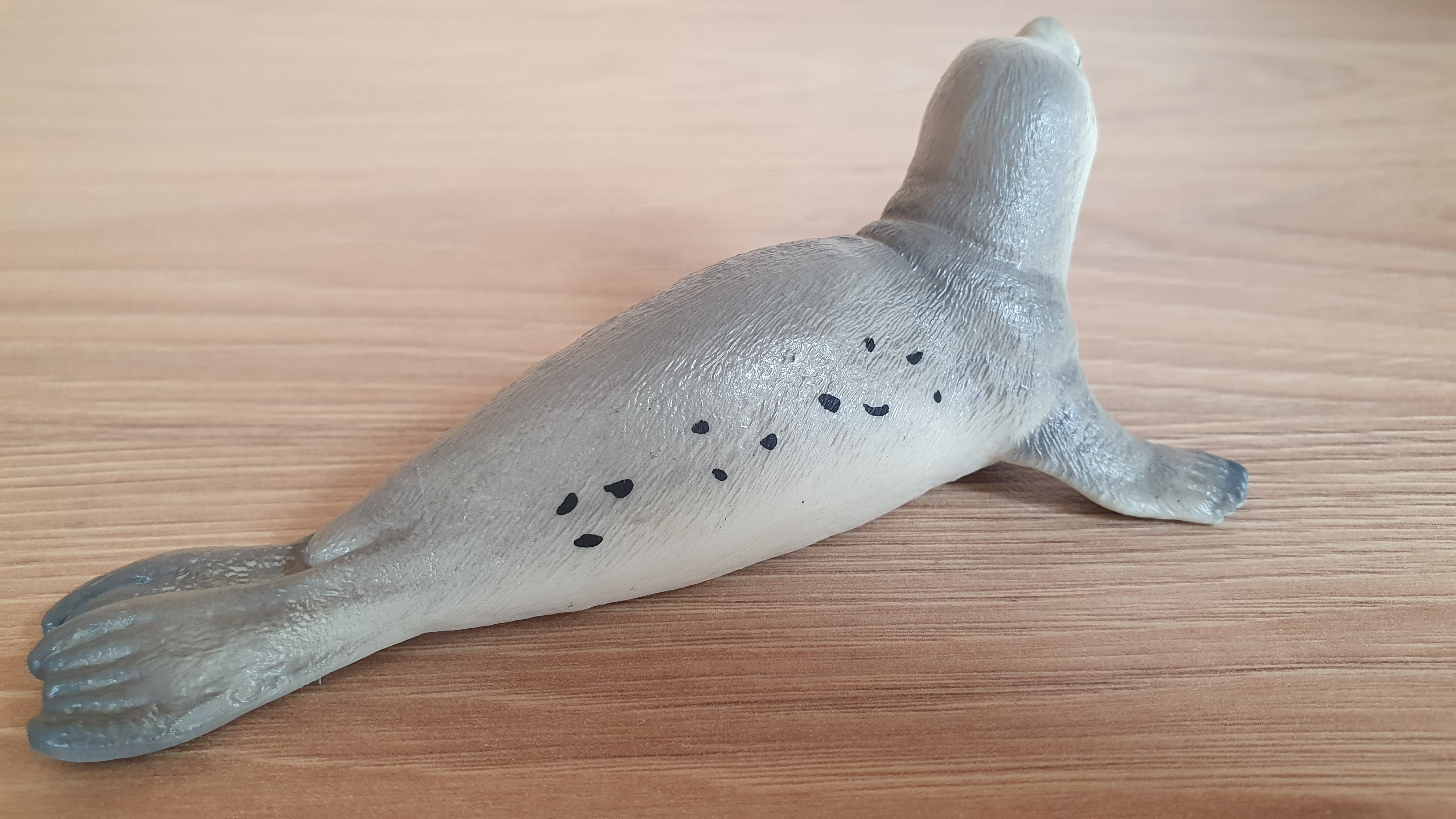 tuleň  14801, model 2017