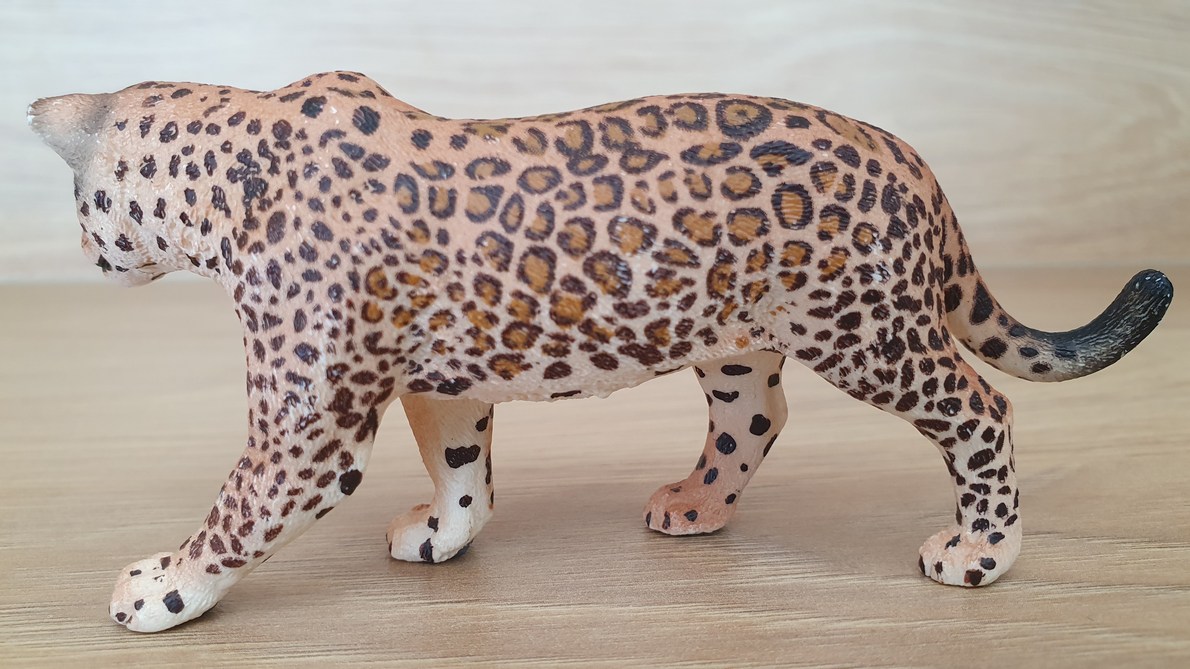 jaguár 14769, model 2016