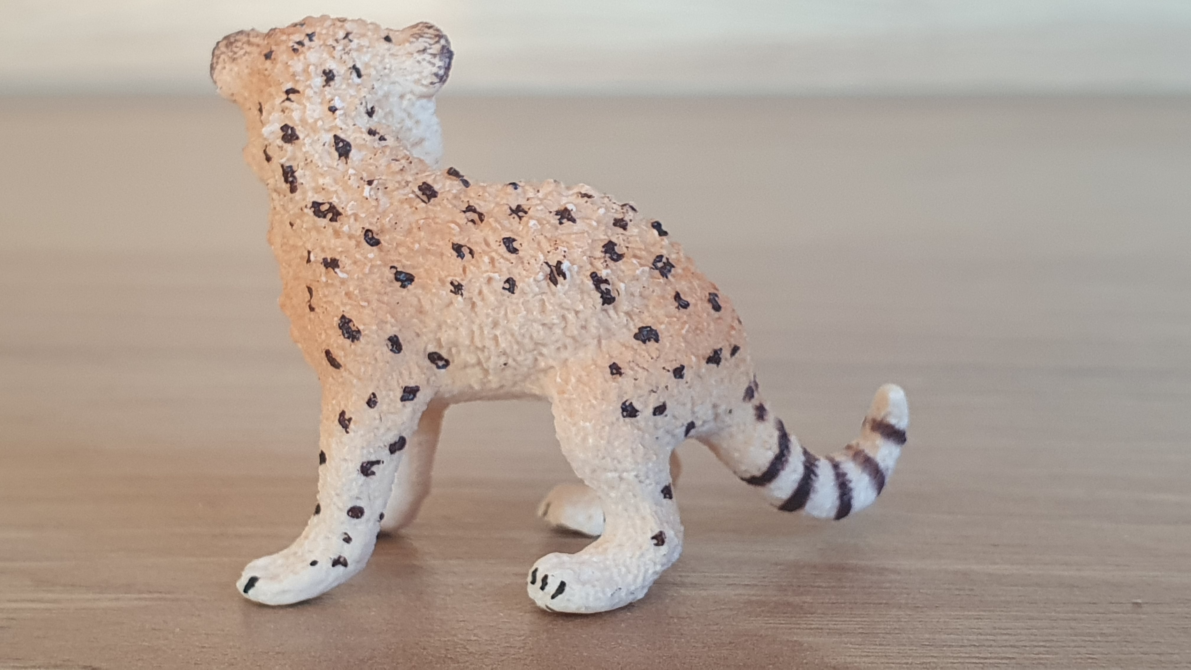 gepard mládě 14747, model 2015