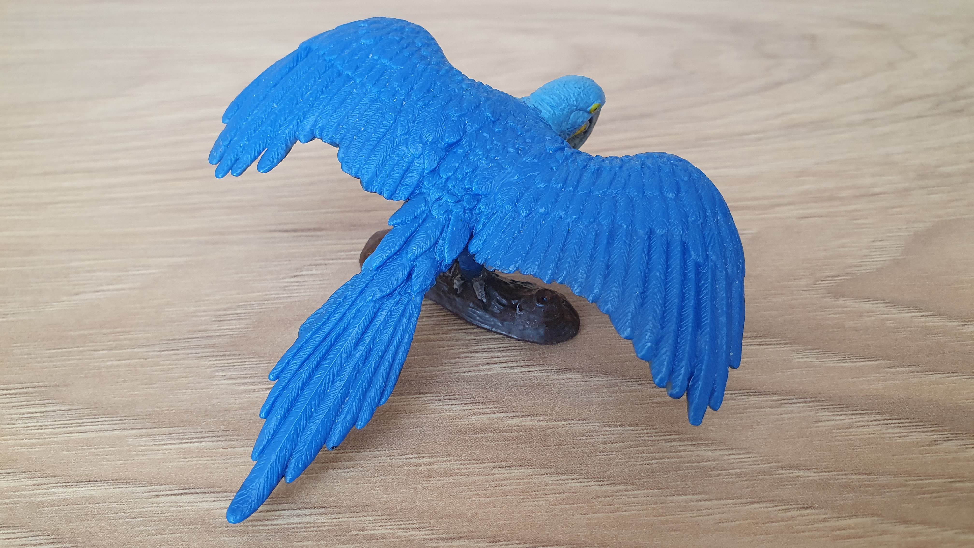 Ara hyacintová 14689, model 2012
