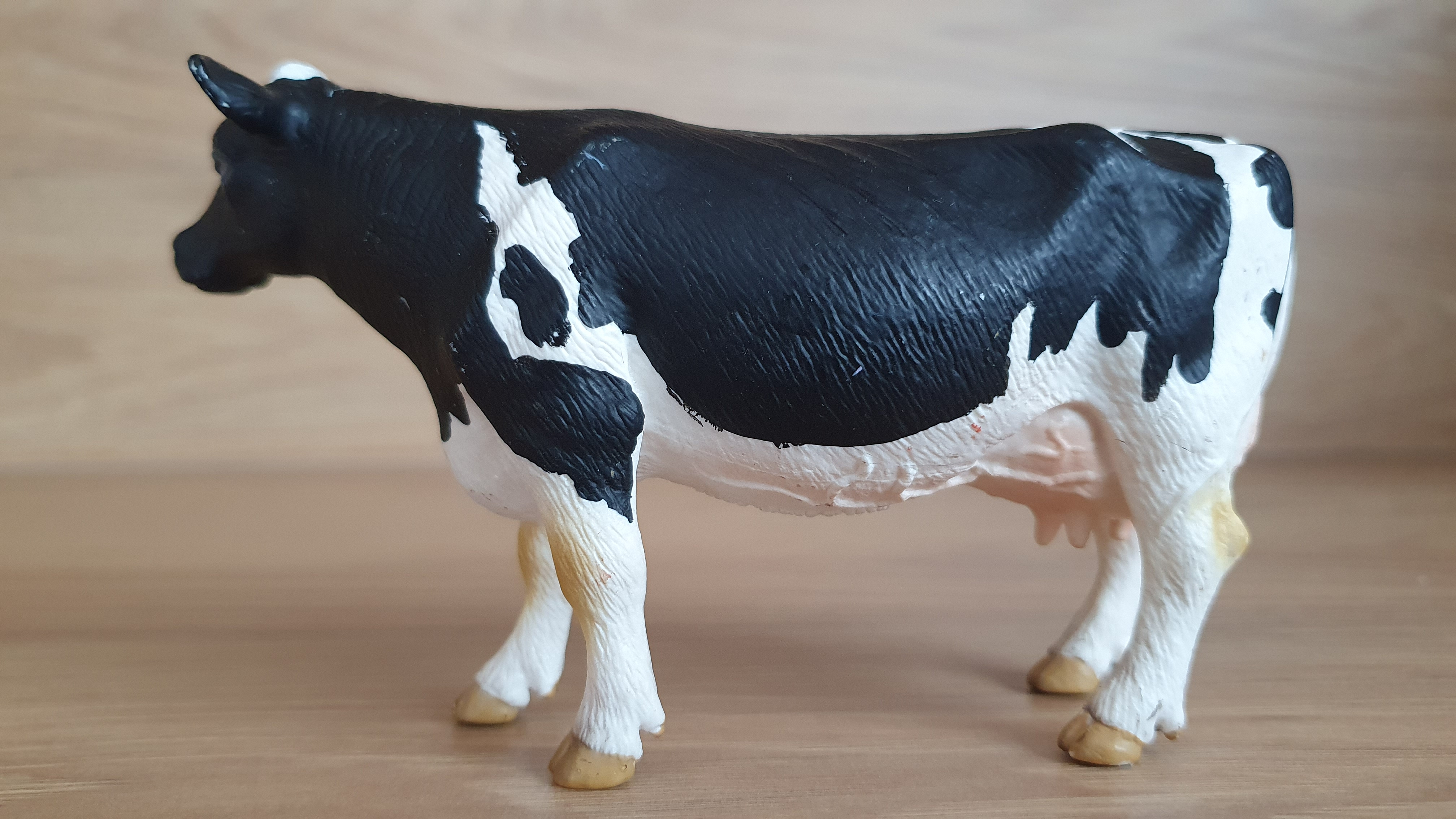 kráva holštýnská 13633, model 2007