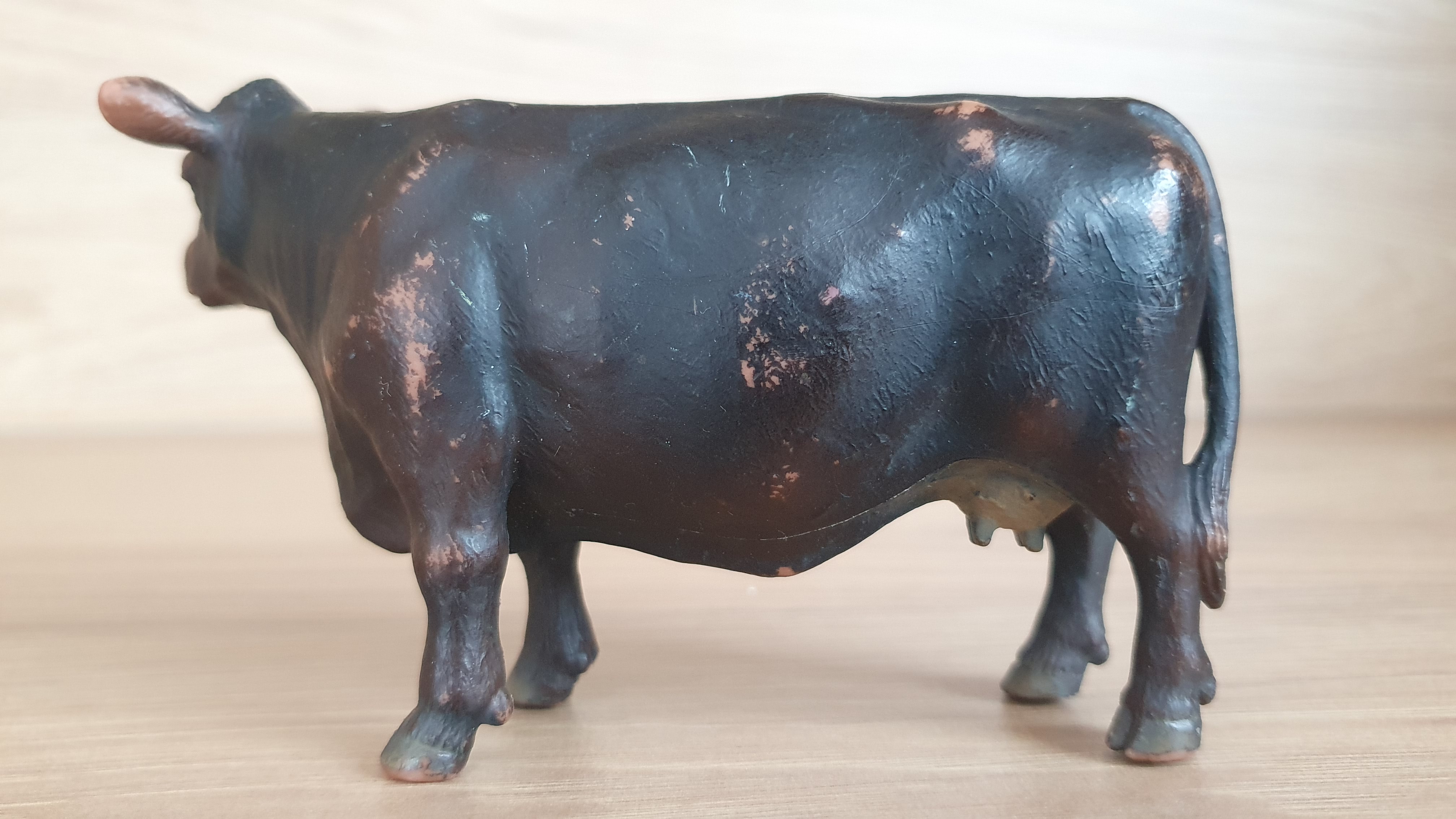 Anguská kráva 13269, model 2002