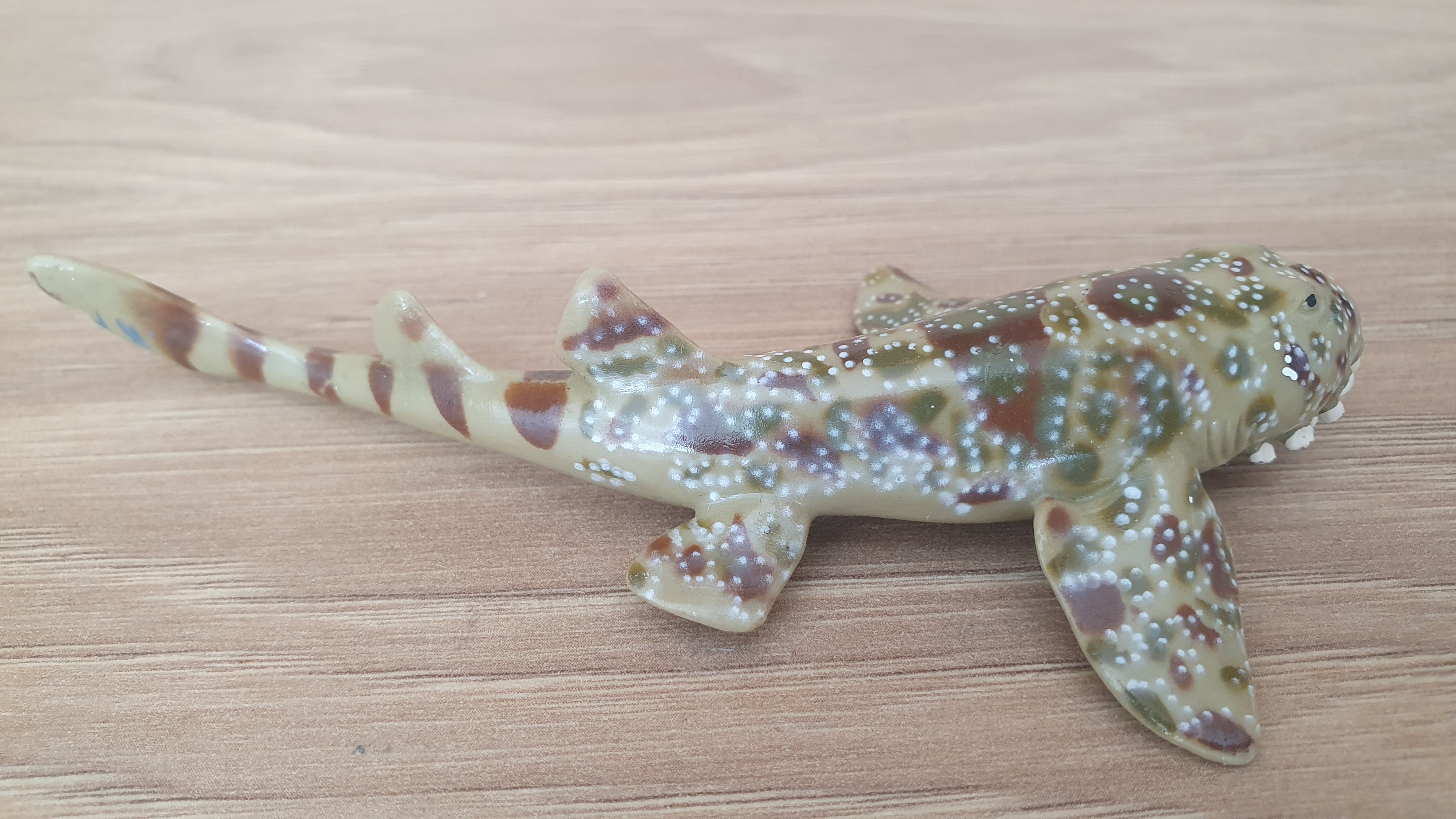 Wobbegong , ryba ze setu 42328