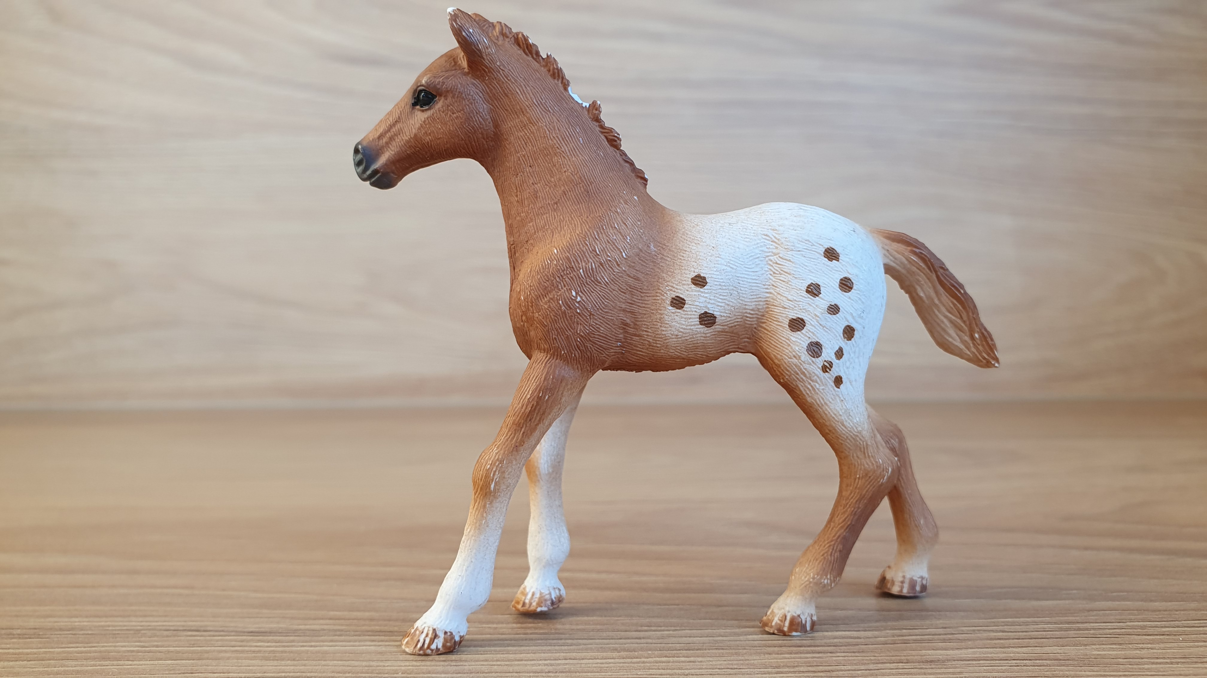 Appaloosa hříbě 42433, model 2017