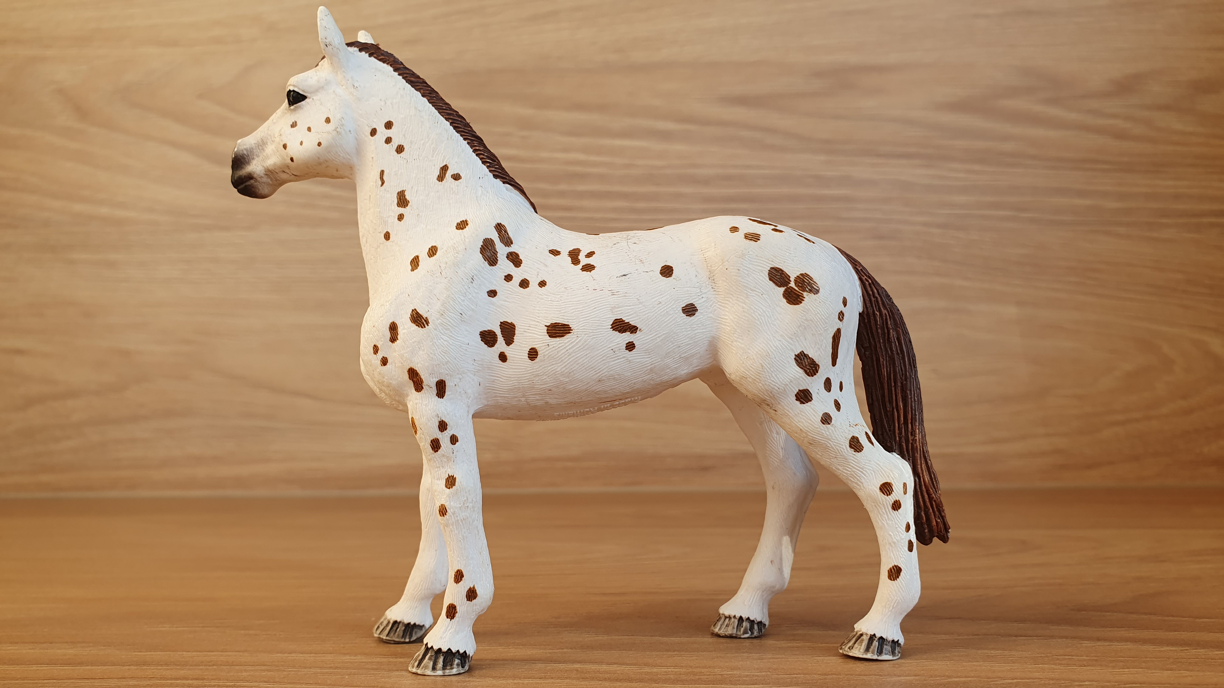 Appaloosa hřebec 42433, model 2017