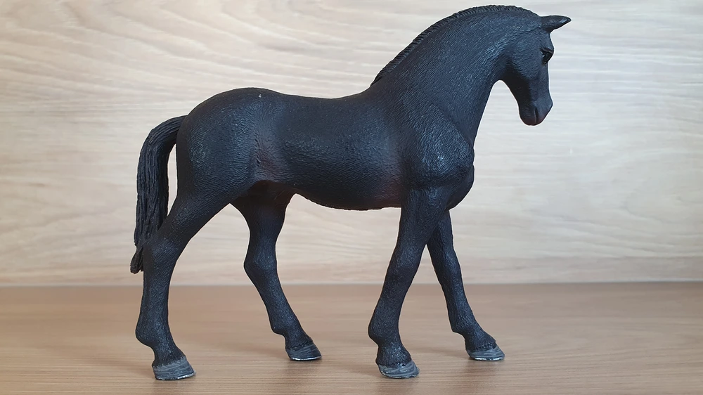 Anglický plnokrevník klisna 13856, model 2017