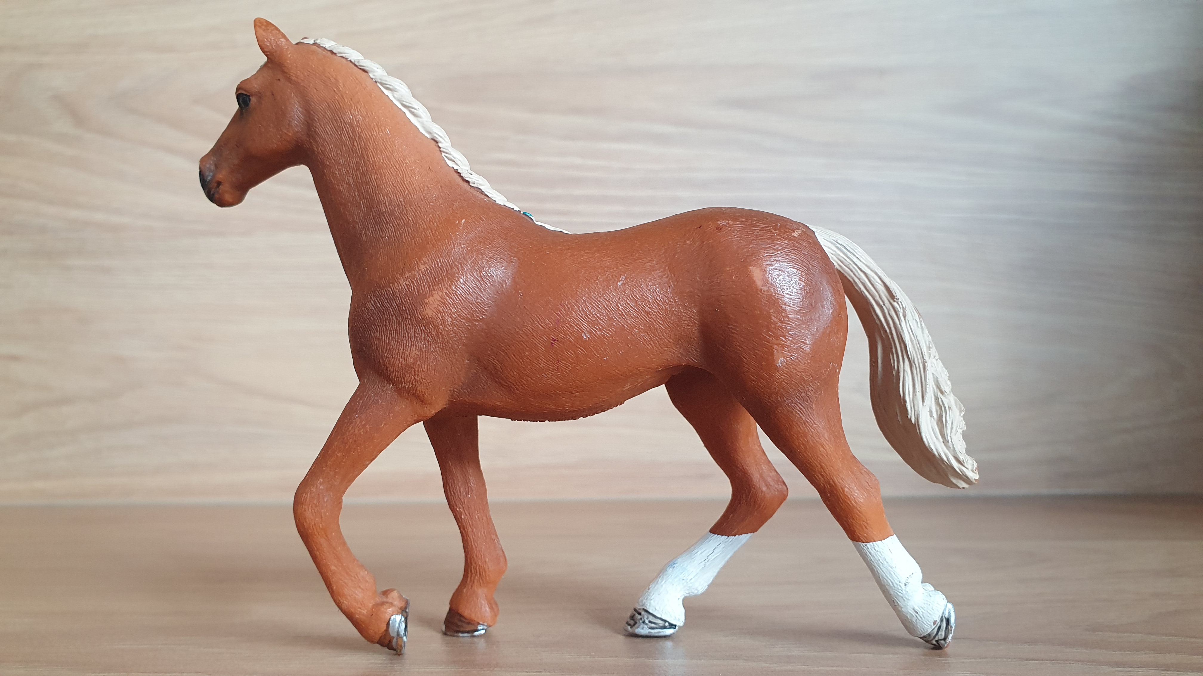 Anglický plnokrevník 42360, model 2016