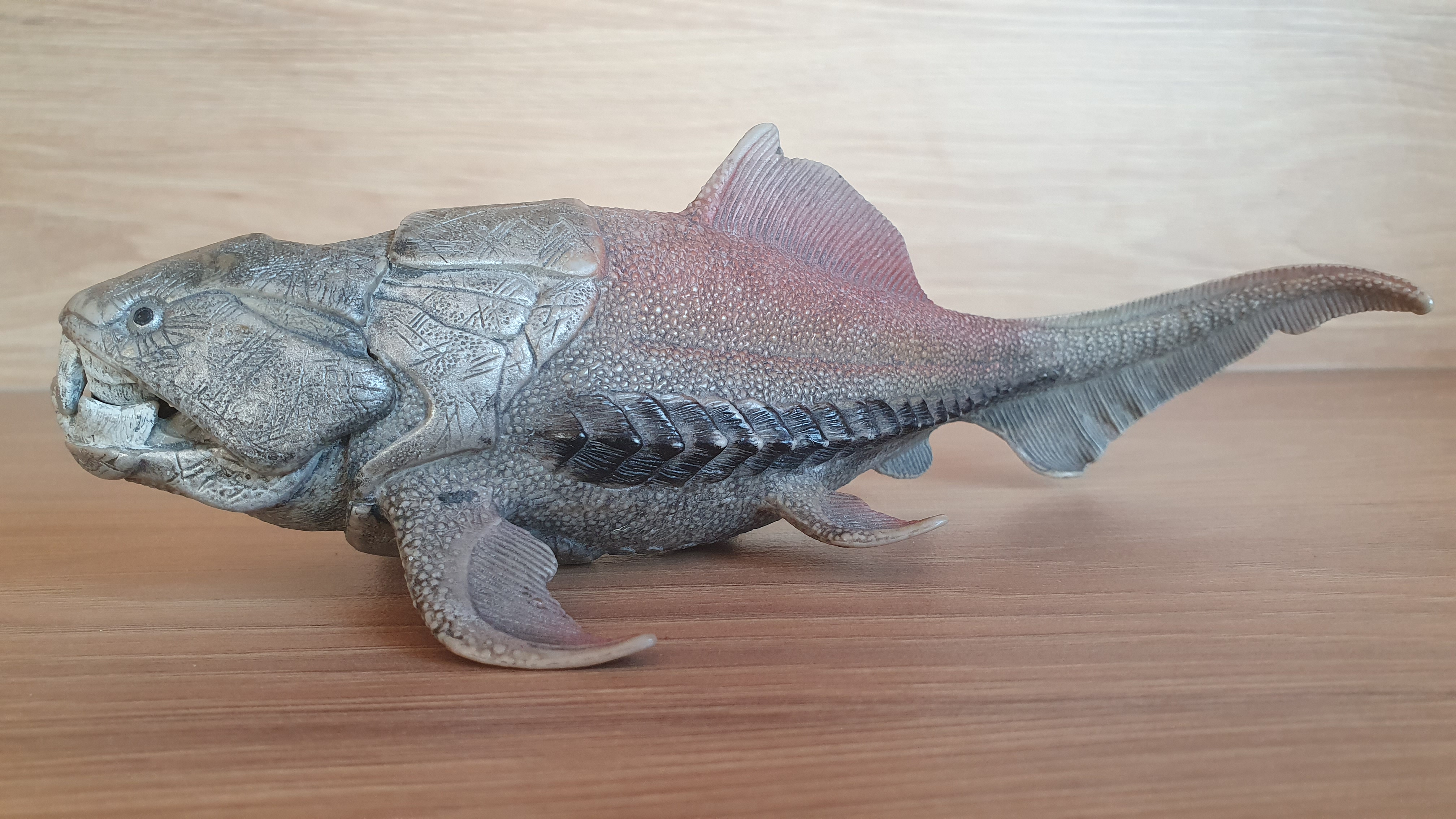 Dunkleosteus  14575, model 2015