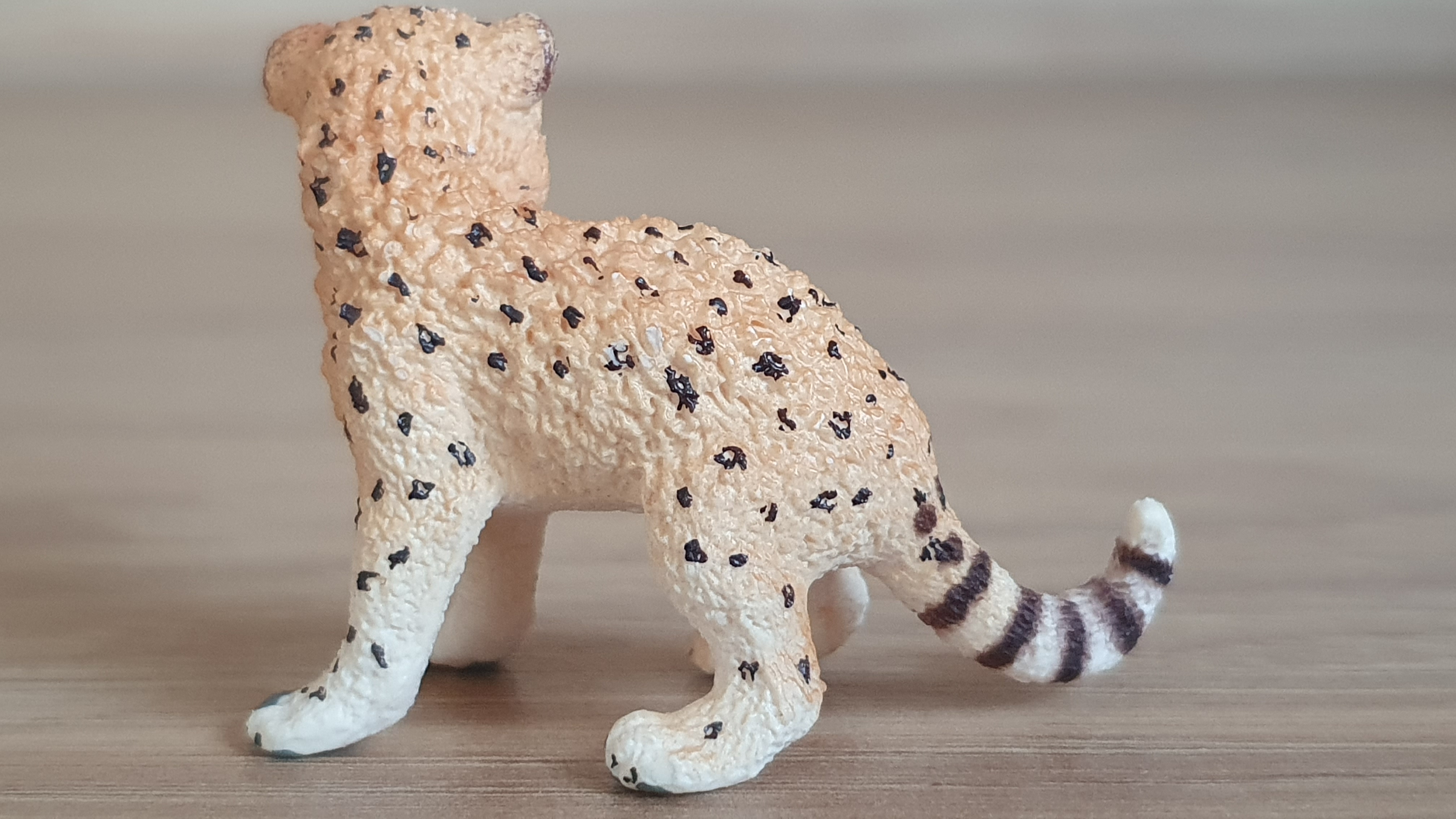 gepard mládě 14747, model 2015