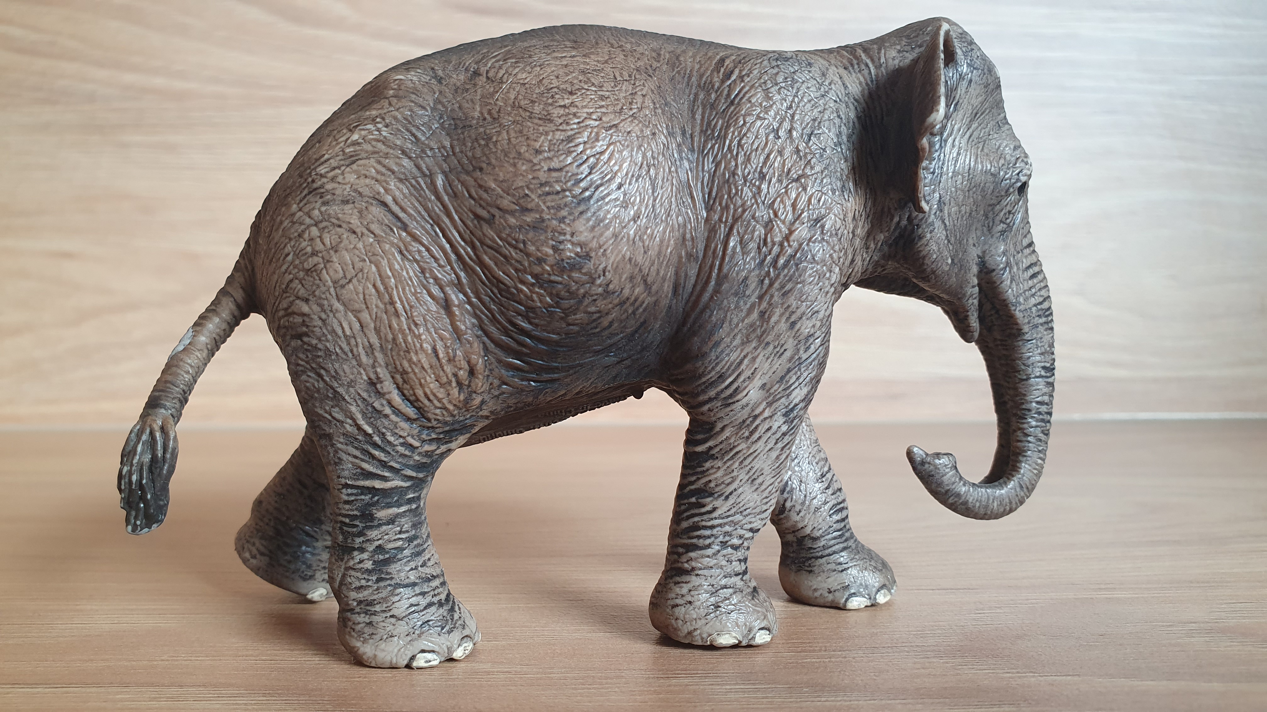 slon  14753, model 2015