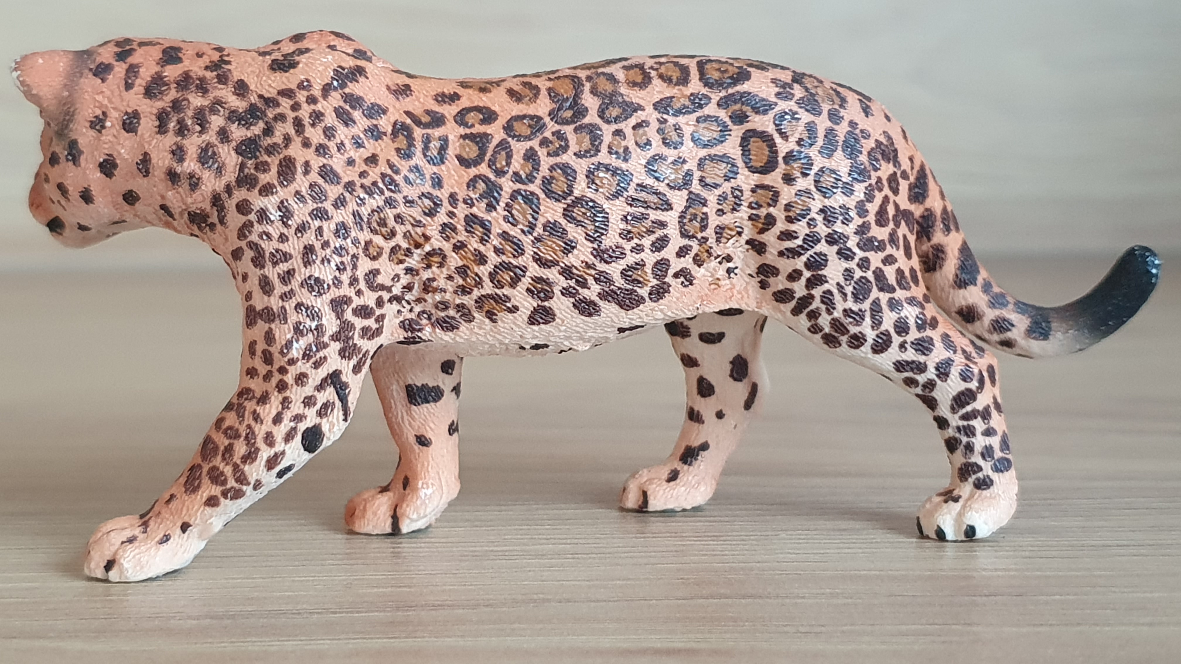 jaguár 14769, model 2016