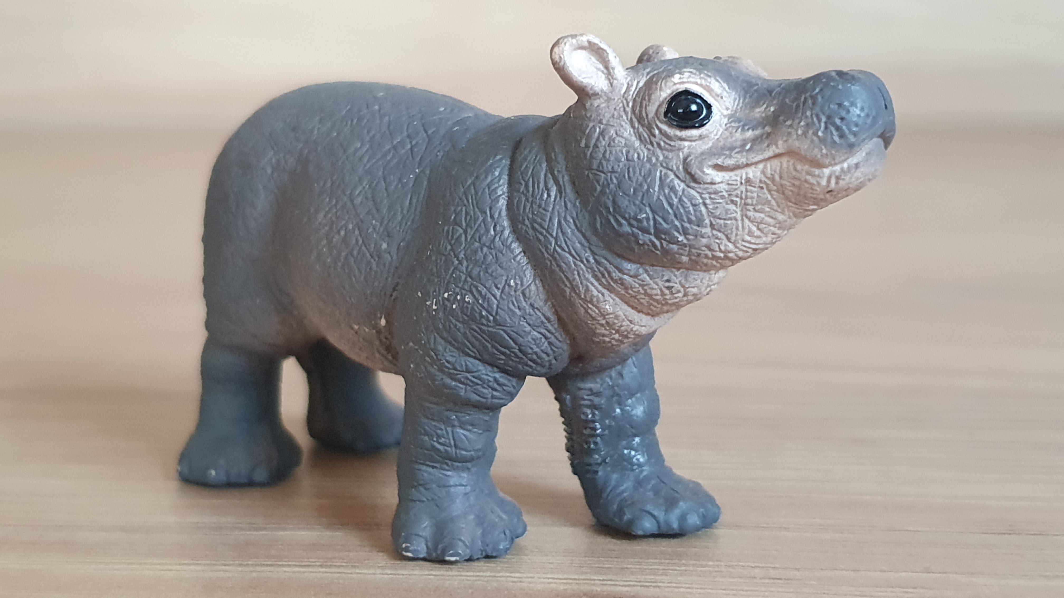 hroch 14831, model 2019