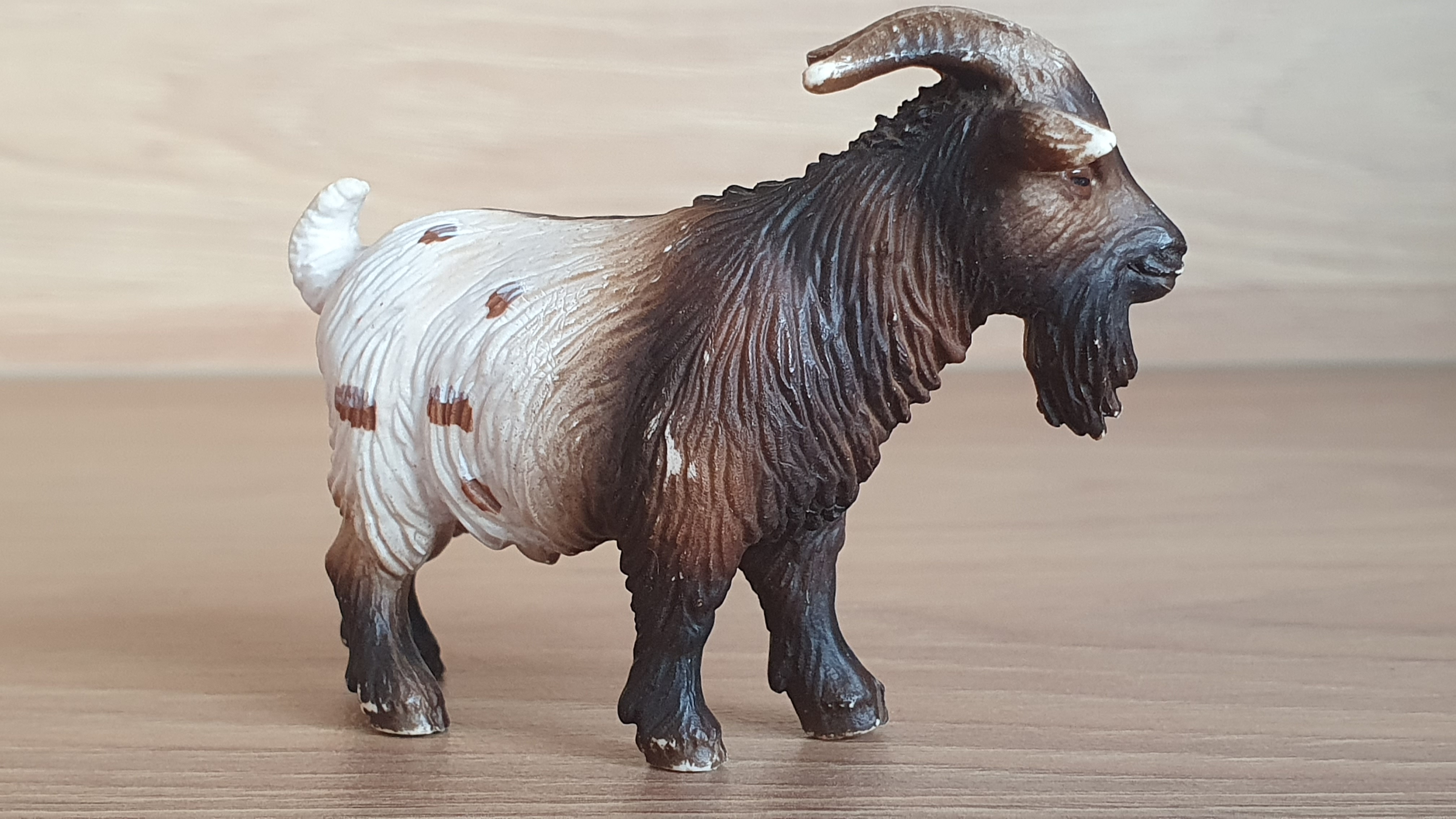 kozel menší 13602, model 2004