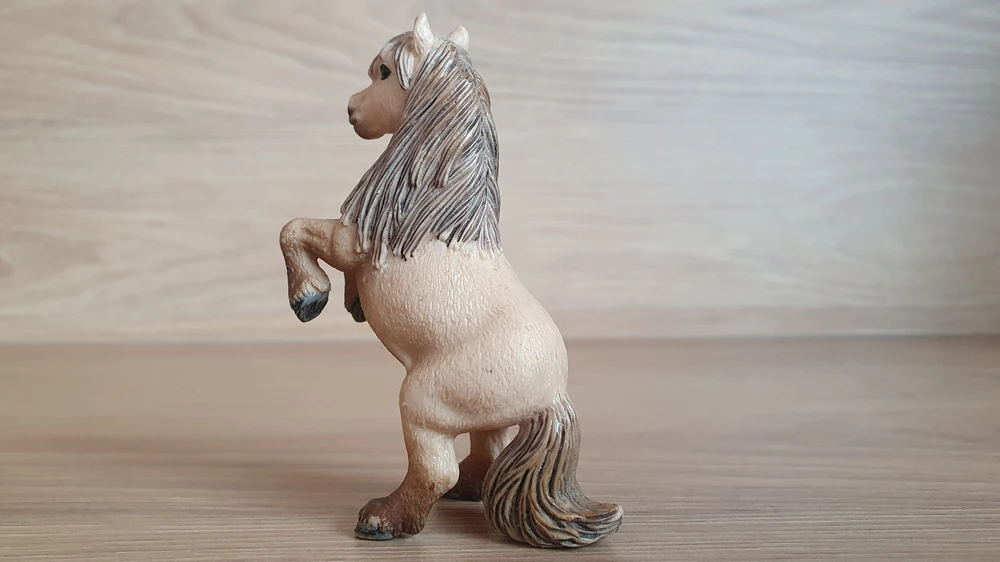Shetlandský poník na zadních 13775, model 2014