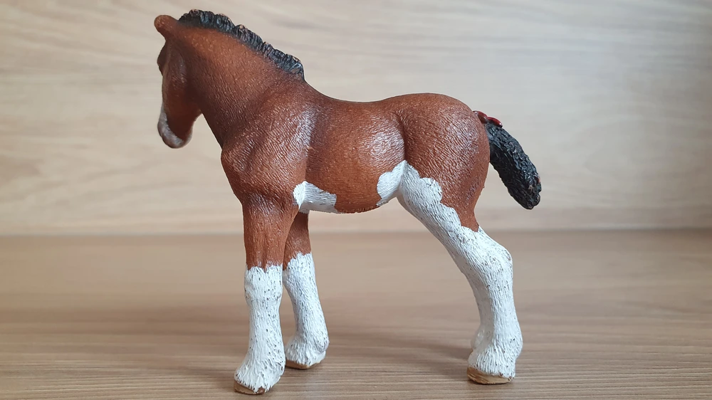 Clydesdale hříbě 13810, model 2015
