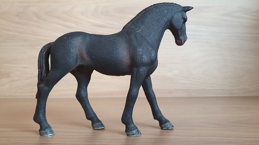 Anglický plnokrevník klisna  13856, model 2017