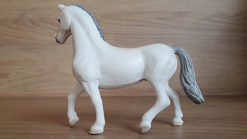 Lipicán hřebec 13887, model 2018