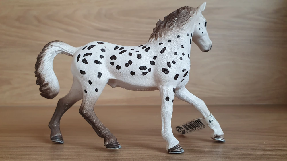 knabstrupperský hřebec 13889, model 2018