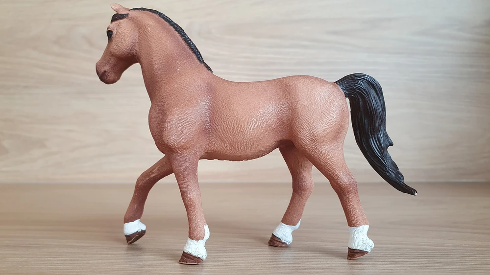 Quarter od Hannah  42411, model 2017