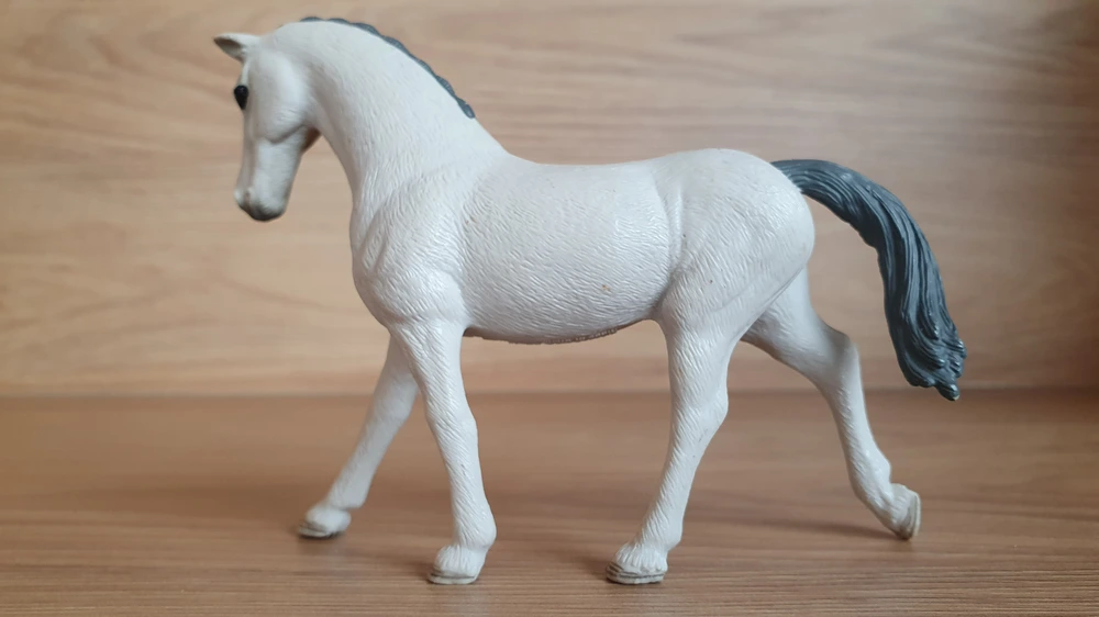 Trakehner klisna 98269, model 2018