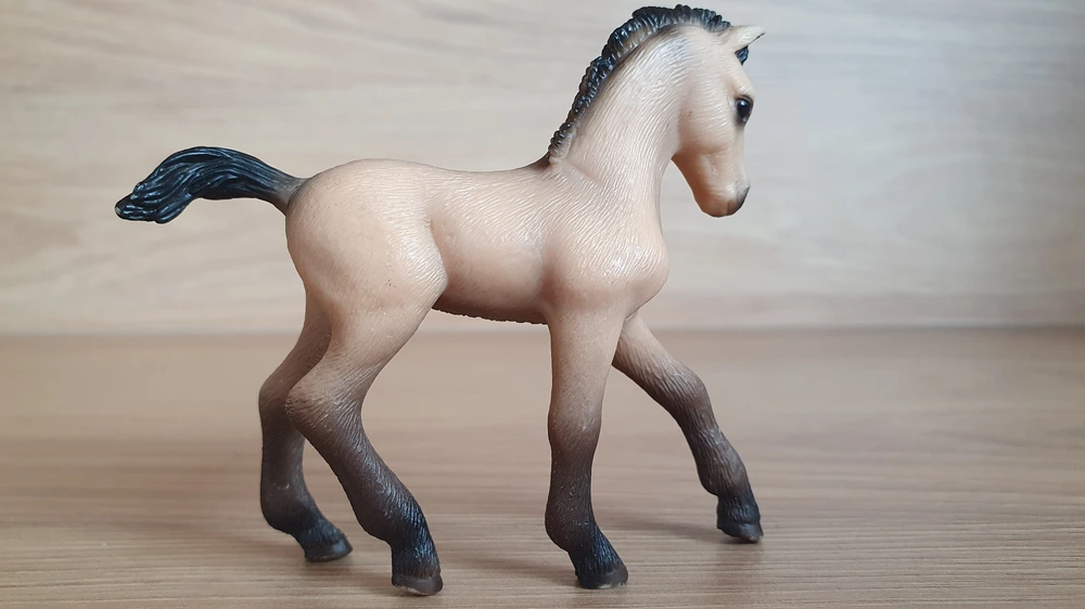 Andalůské hříbe 13669, model 2006