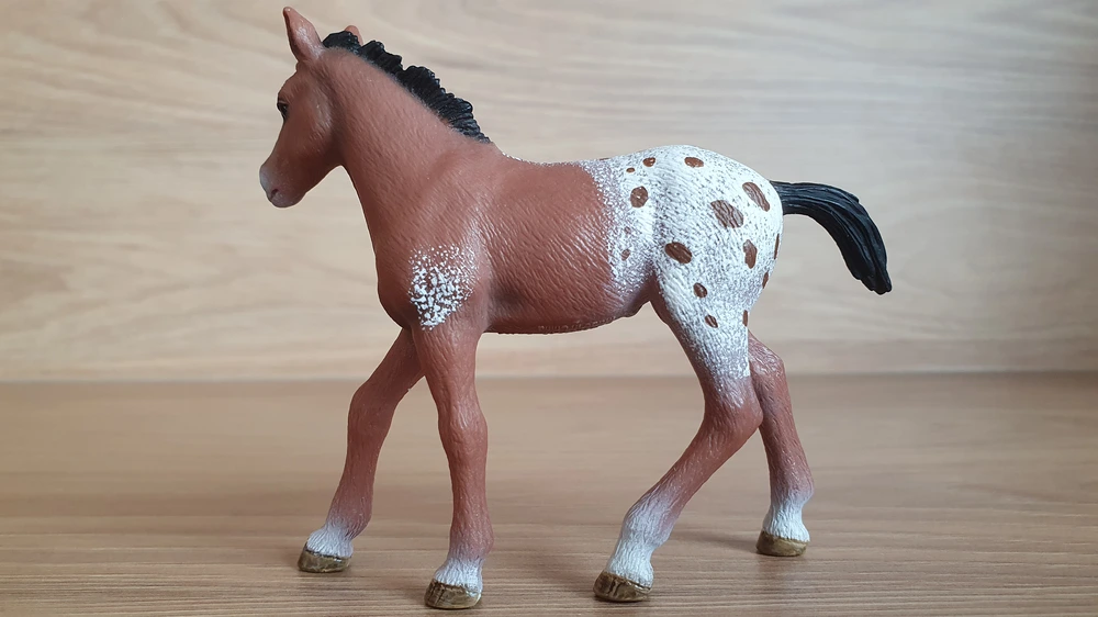 Appaloosa hříbě 13733, model 2012