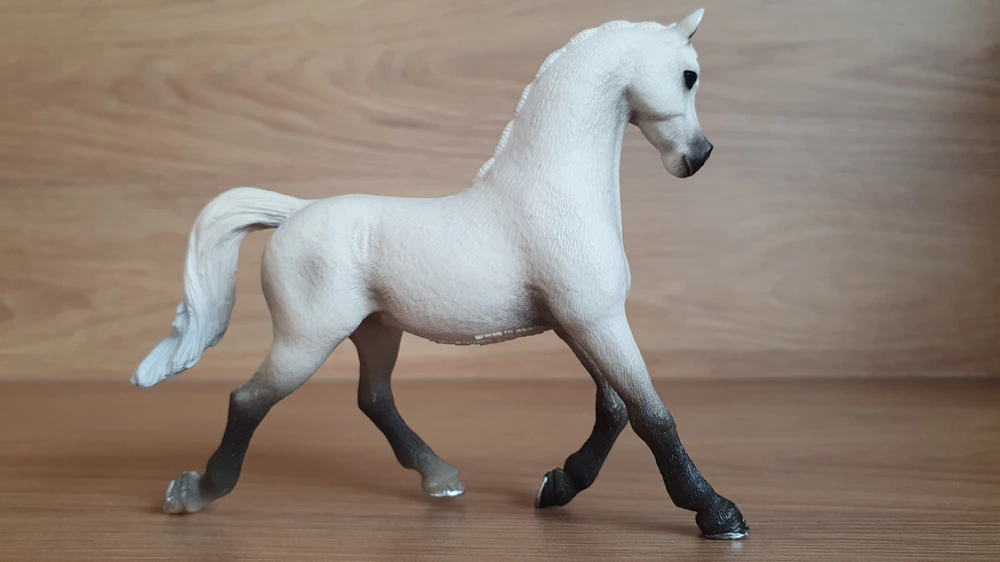 Bílá arabská klisna 13761, model 2013