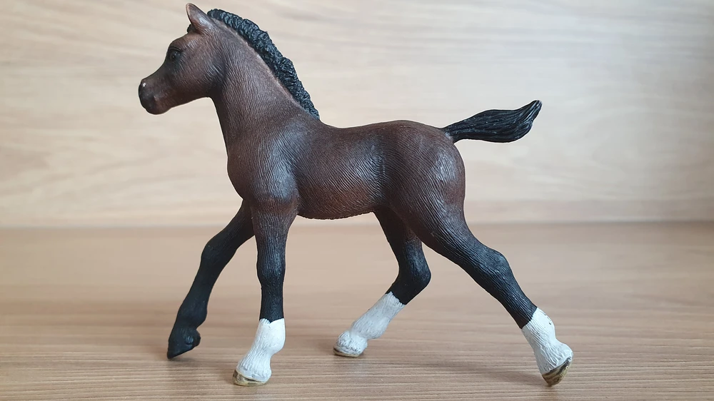 Arabské hříbě  13762, model 2013