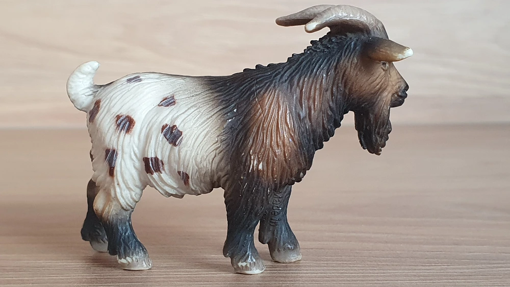kozel menší 13602, model 2004